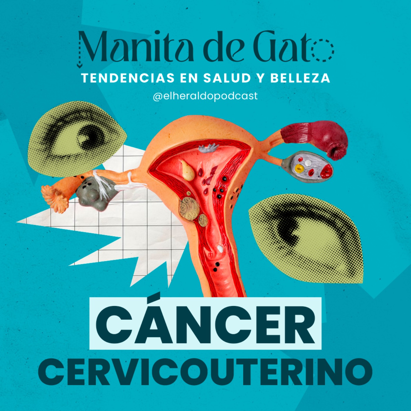 Portada de Manita de Gato