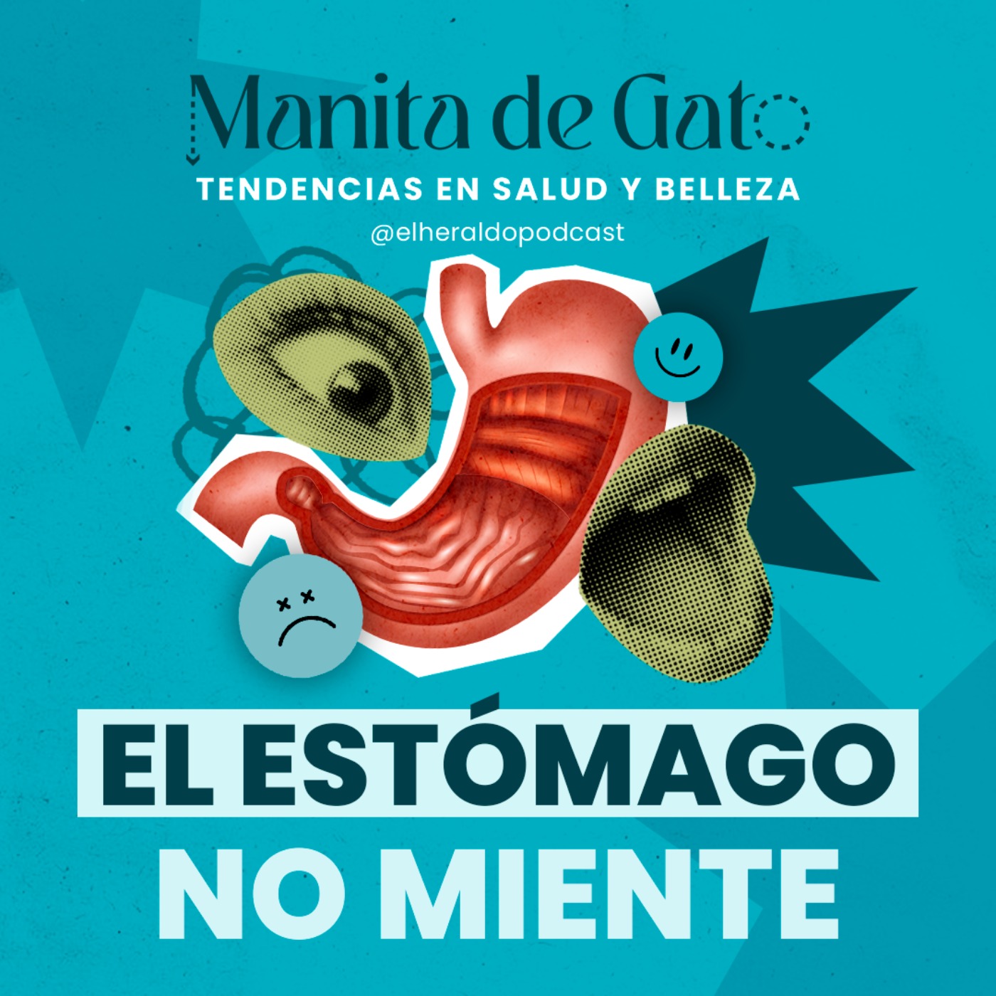 Portada de Manita de Gato