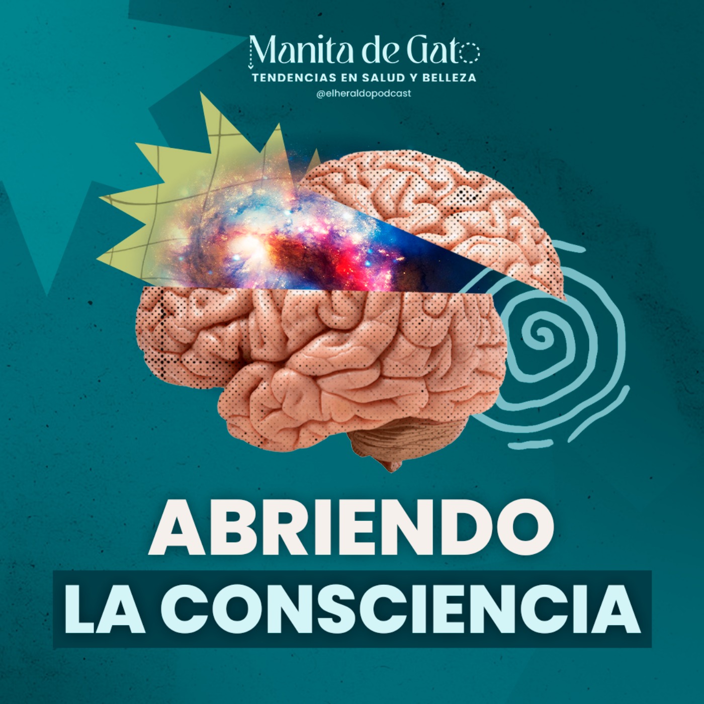 Portada de Manita de Gato