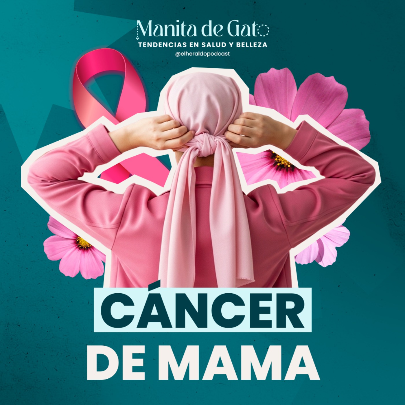 Portada de Manita de Gato