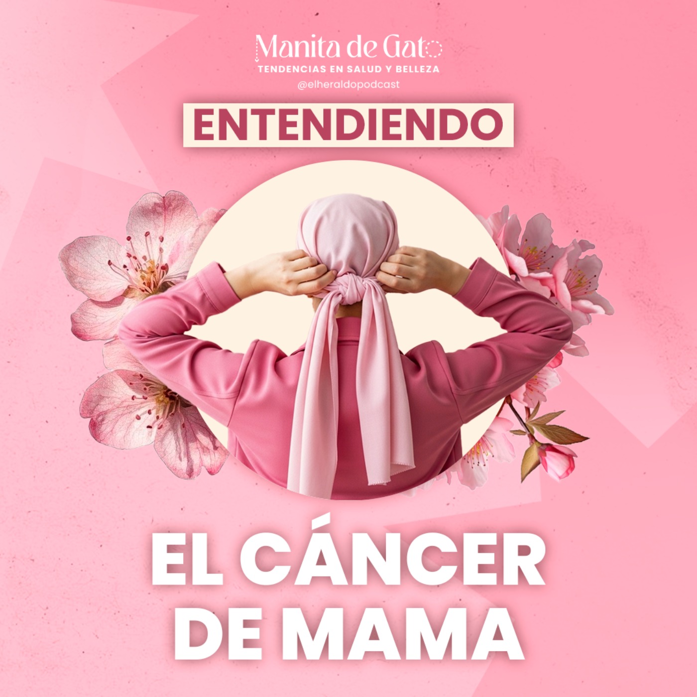 ¿Cómo prevenir y detectar el cáncer de mama a tiempo? Una oncóloga explica episode artwork