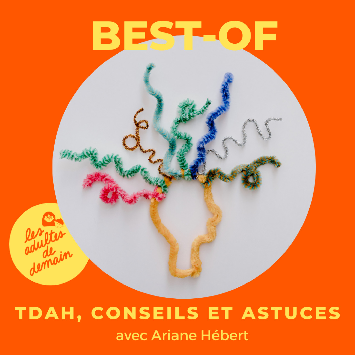 [Coup de cœur auditeurs] TDAH, conseils et astuces - Ariane Hébert