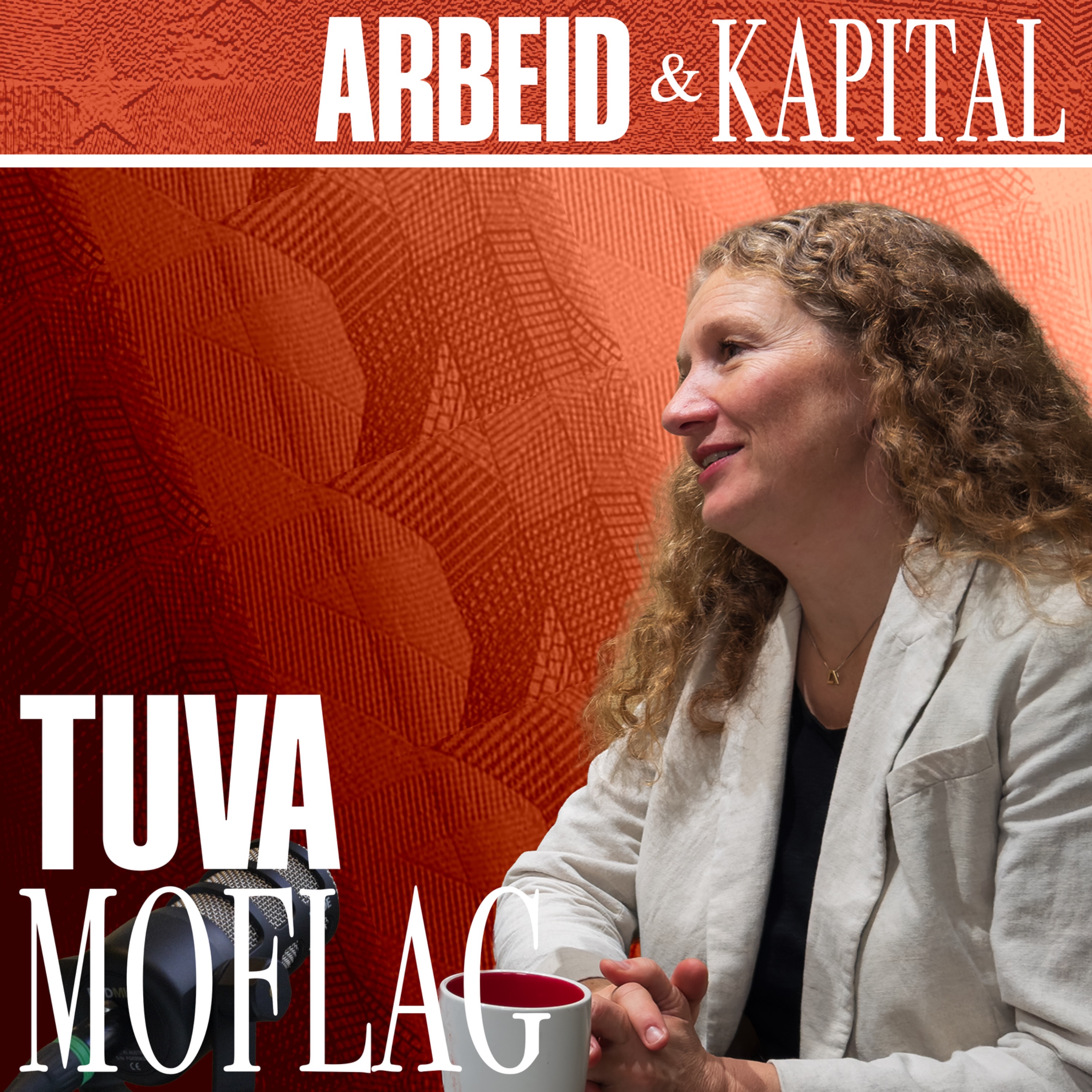 Statsbudsjettet fra innsiden – med Tuva Moflag episode artwork
