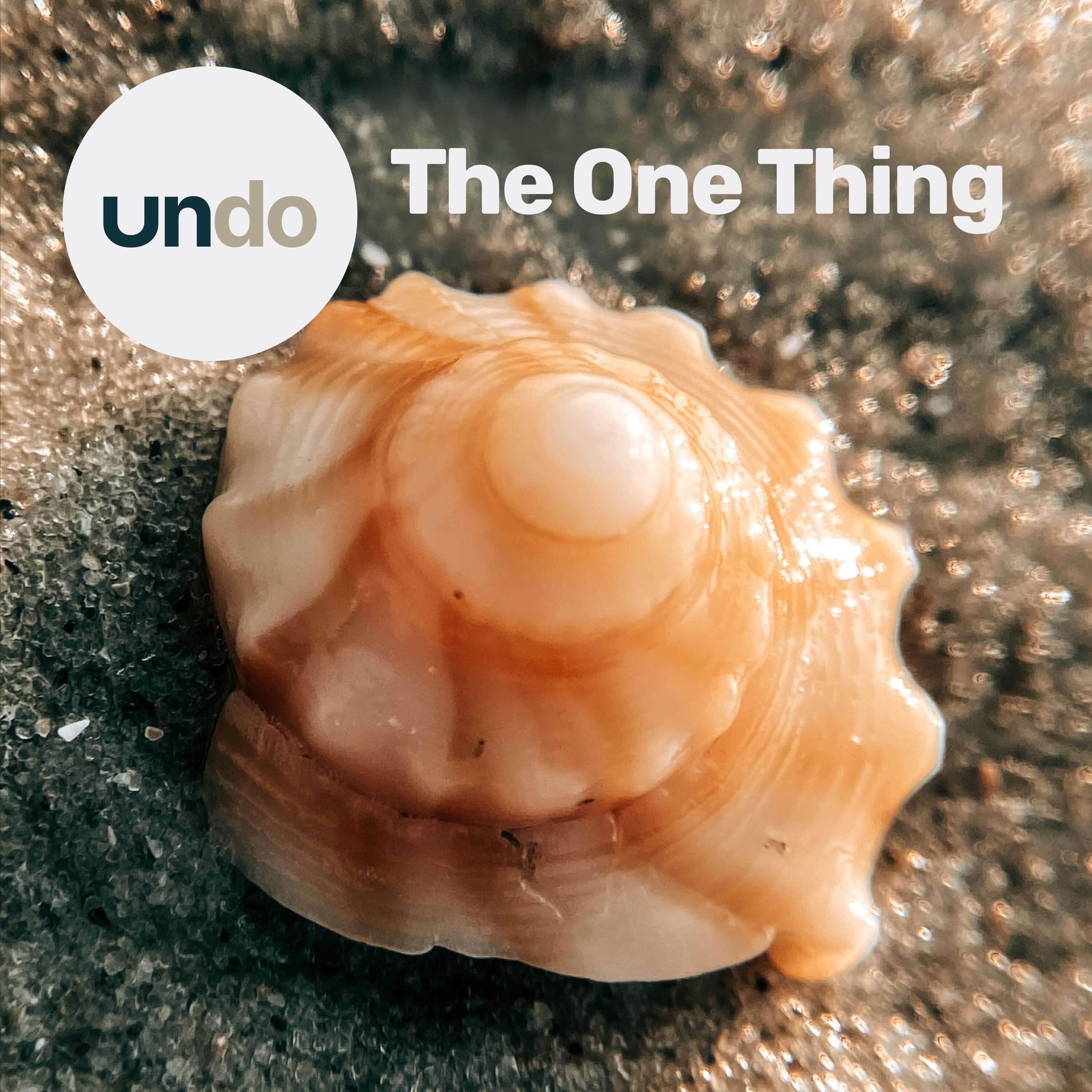 How to turn your side hustle into your main gig – “The One Thing” — Undo – How history's outliers got stuff done cover