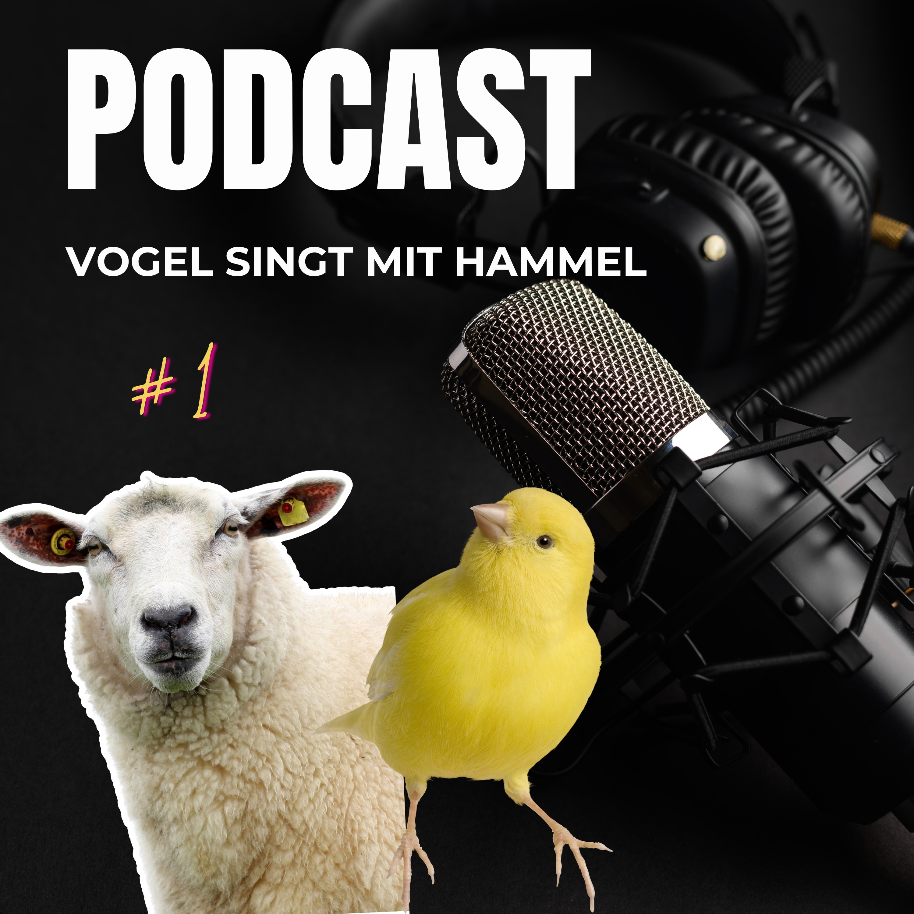 Vogel singt mit Hammel podcast artwork