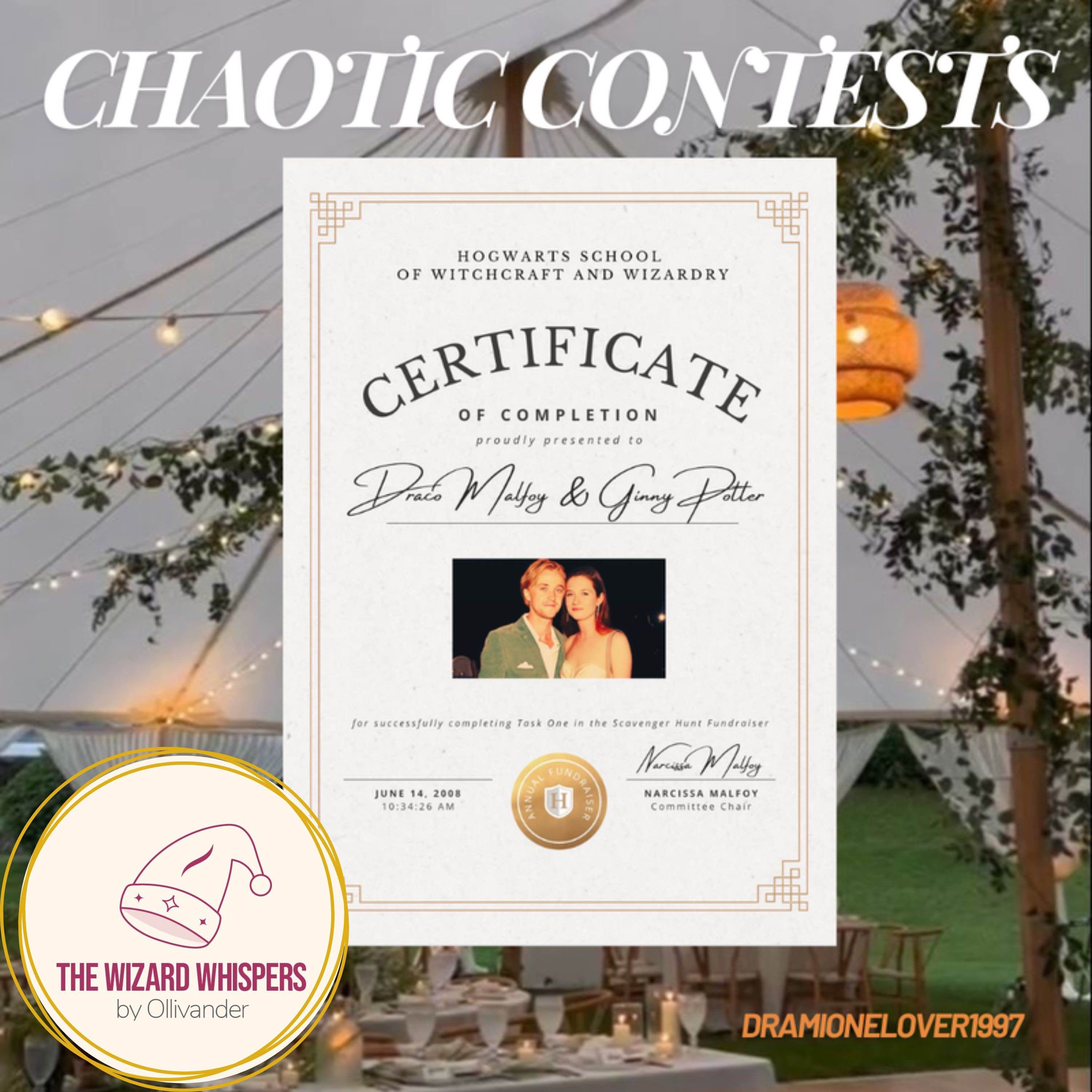 Chaotic Contests