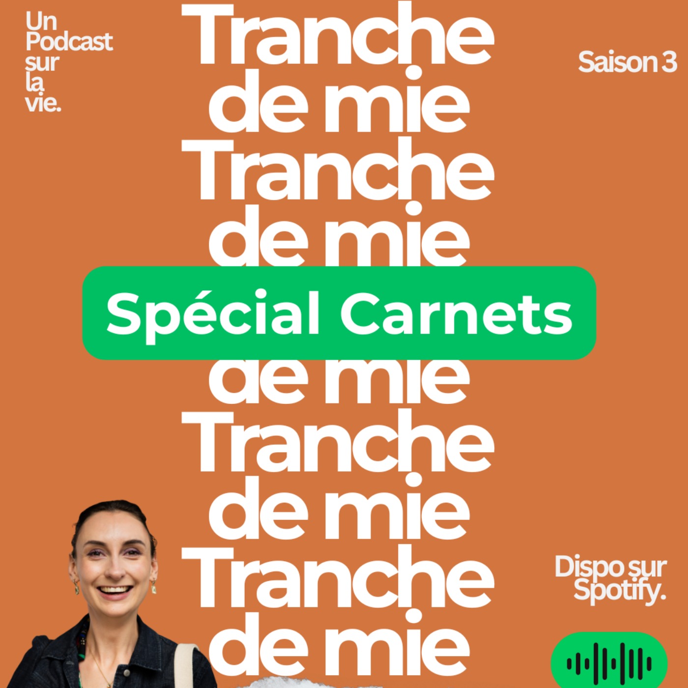 épisode 3 : Tranche de carnets episode artwork