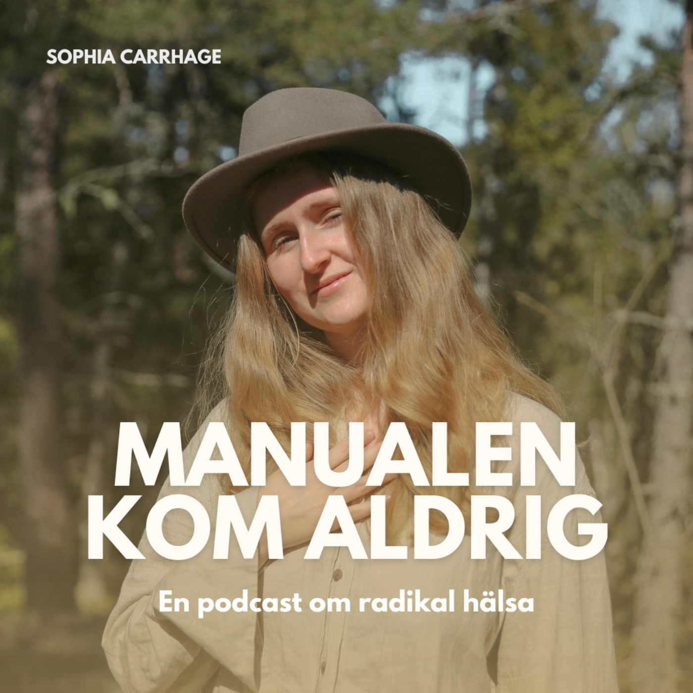 Varför Du Är Trött — Men Inte Kan Vila episode artwork