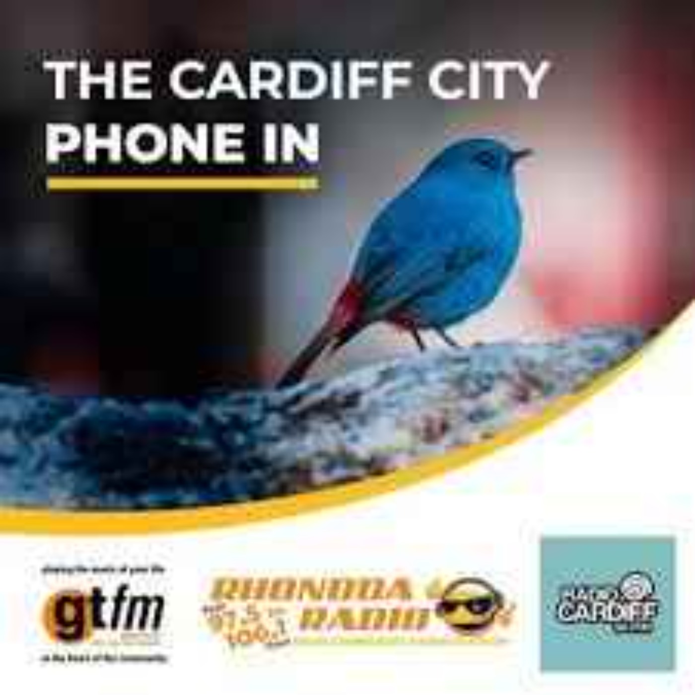Cardiff City Phone In - 15th September episode artwork