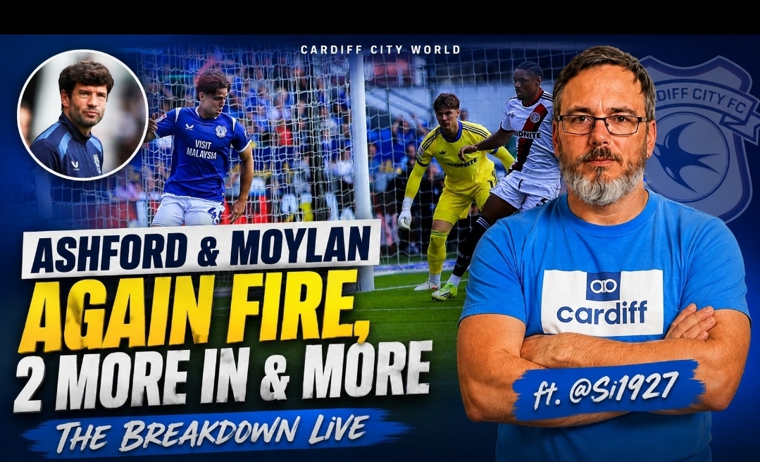 Moylan & Ashford CLASS! | Can we watch that every week | Is 2 transfers enough? | The Breakdown  episode artwork