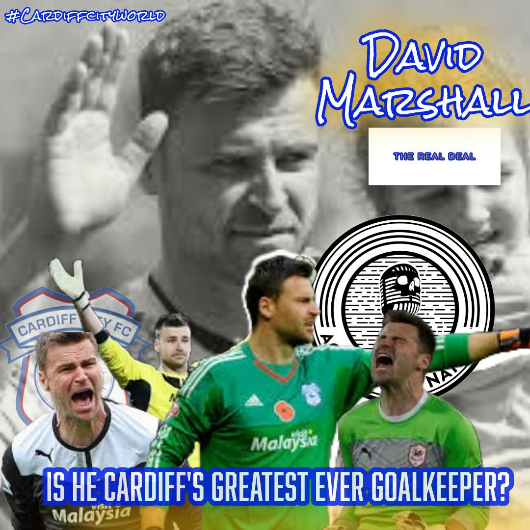 Cardiff City World