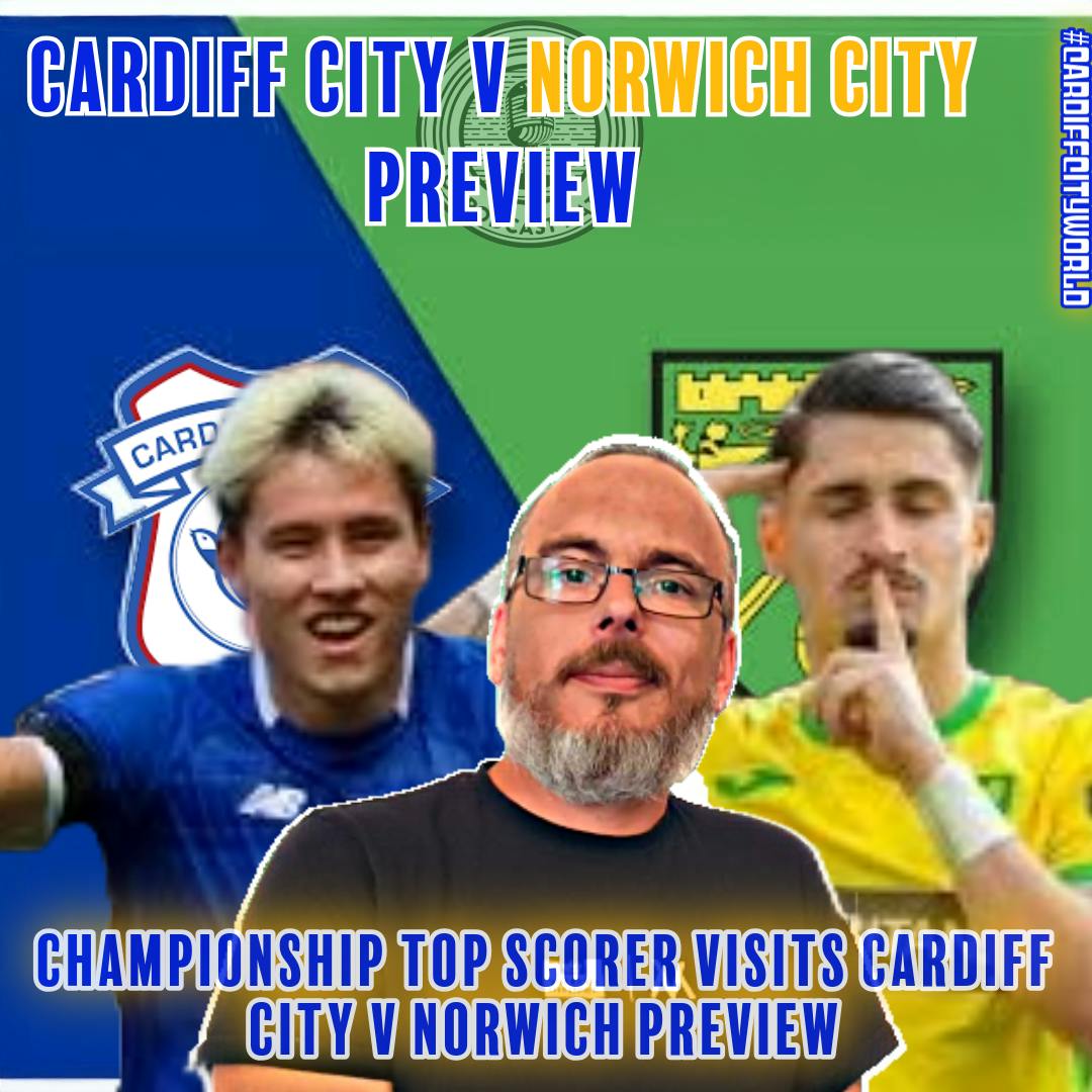 Cardiff City World