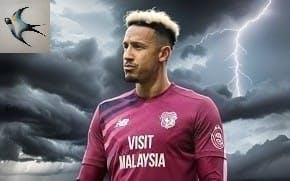Cardiff City World