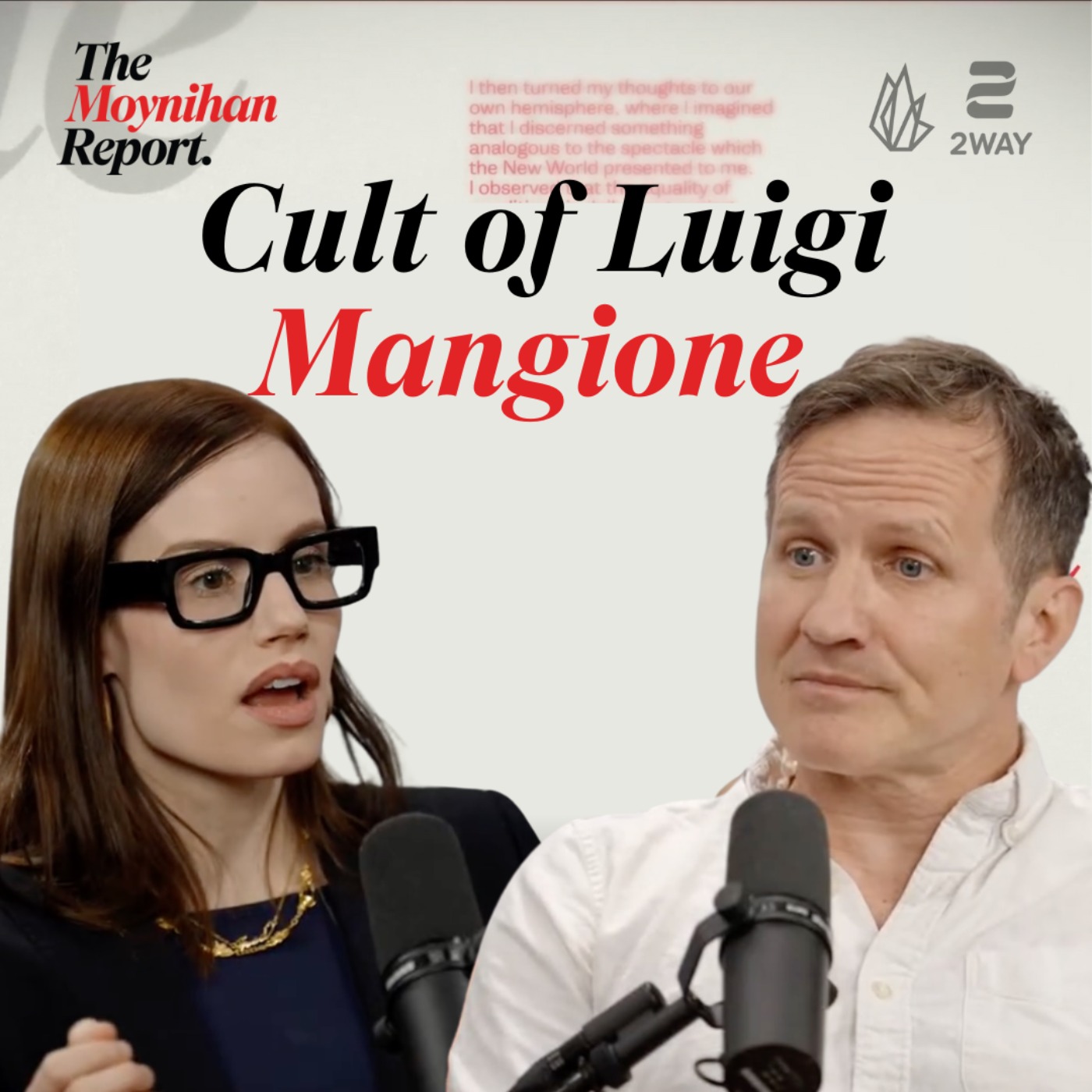 Inside the Cult of Luigi Magione with Olivia Reingold | The Moynihan Report