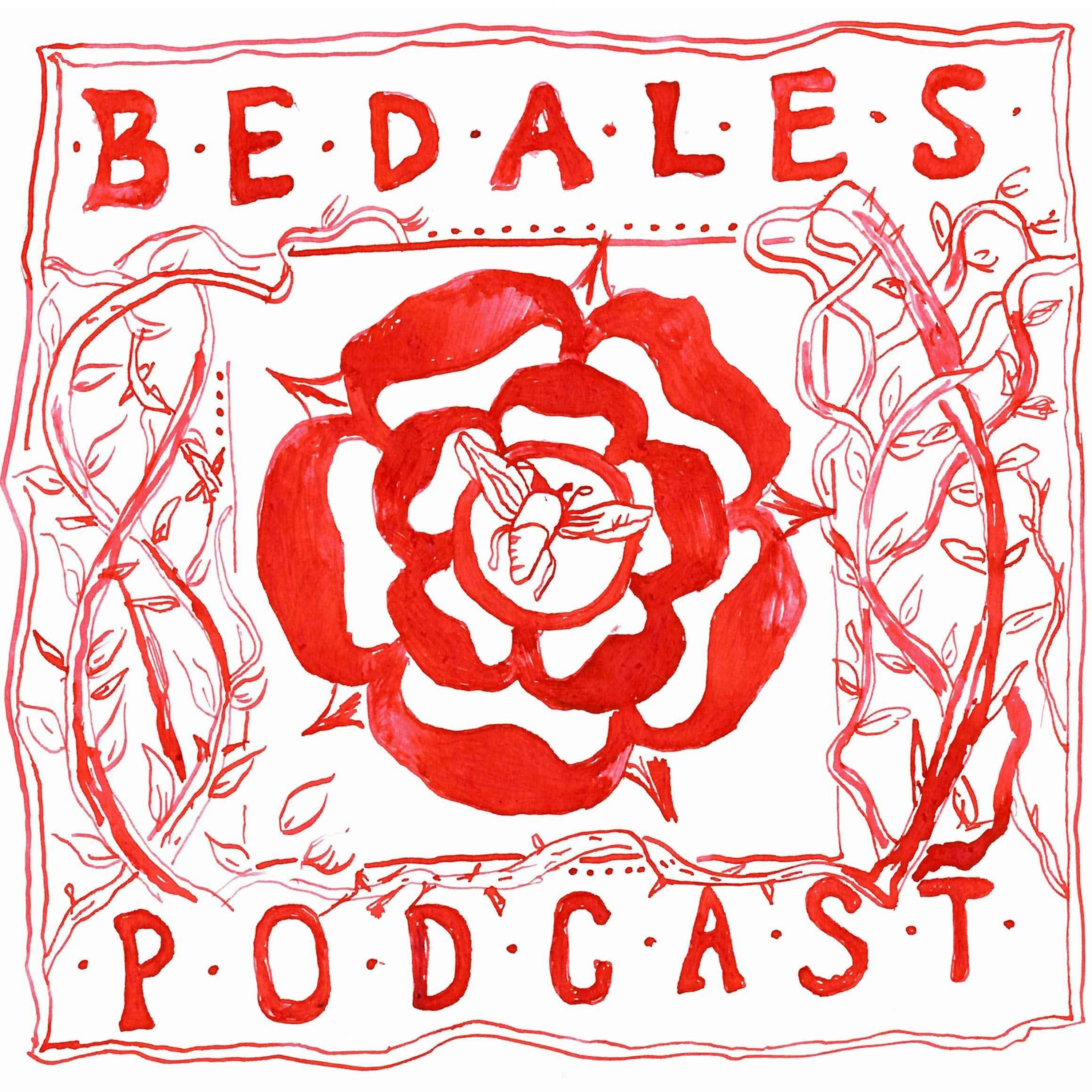 Life@Bedales - Conversation with Teacher and Houseparent Chris Bott episode artwork