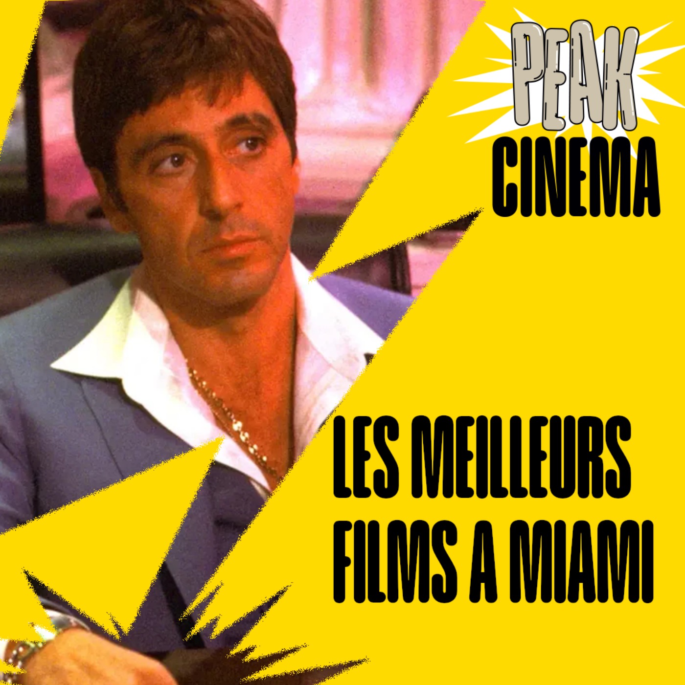 LES MEILLEUS FILMS SE DEROULANT A MIAMI