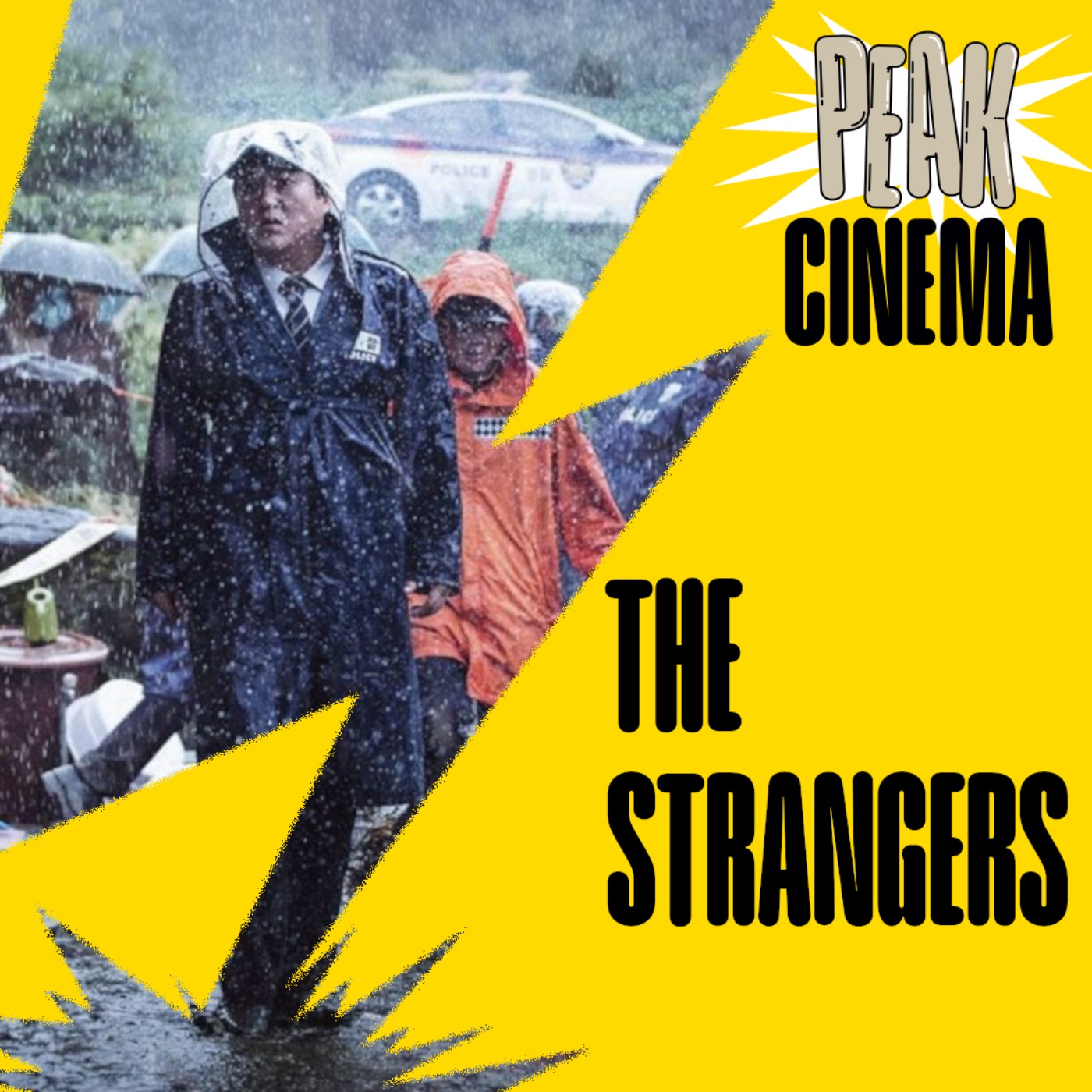 THE STRANGERS (2016)