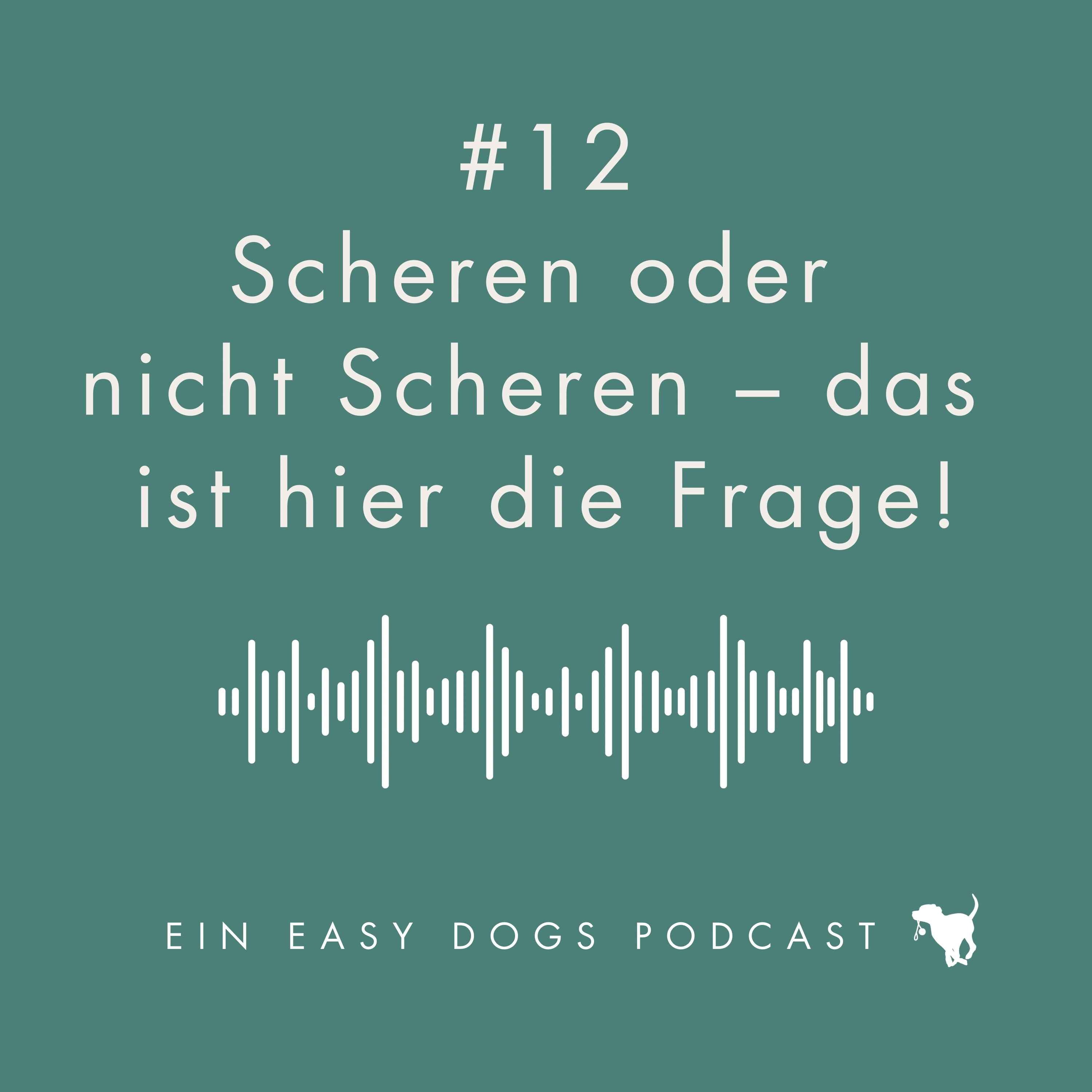 Auf Augenhöhe - Ein Easy Dogs Podcast