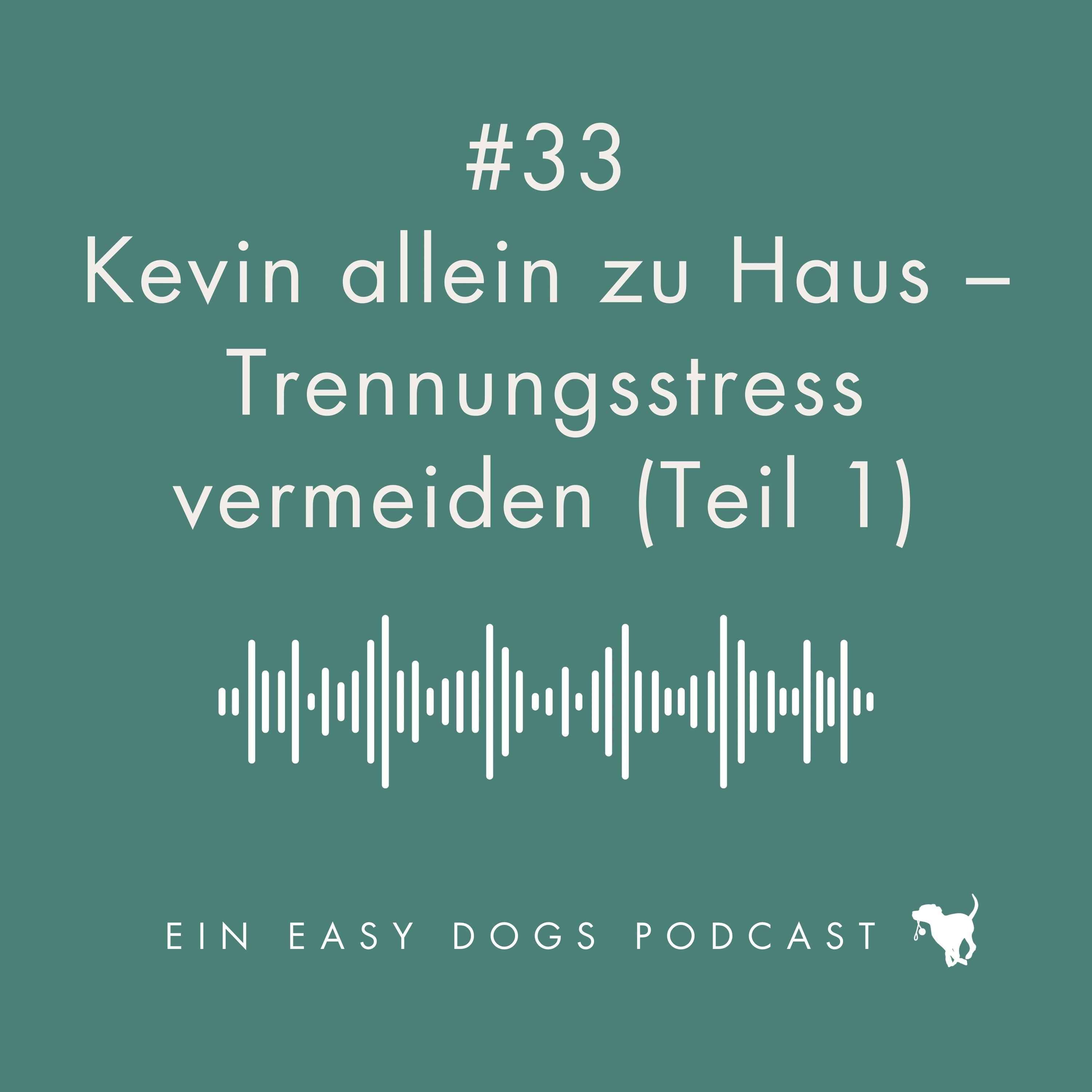 #33 Kevin allein zu Haus - Trennungsstress vermeiden (Teil 1) episode artwork