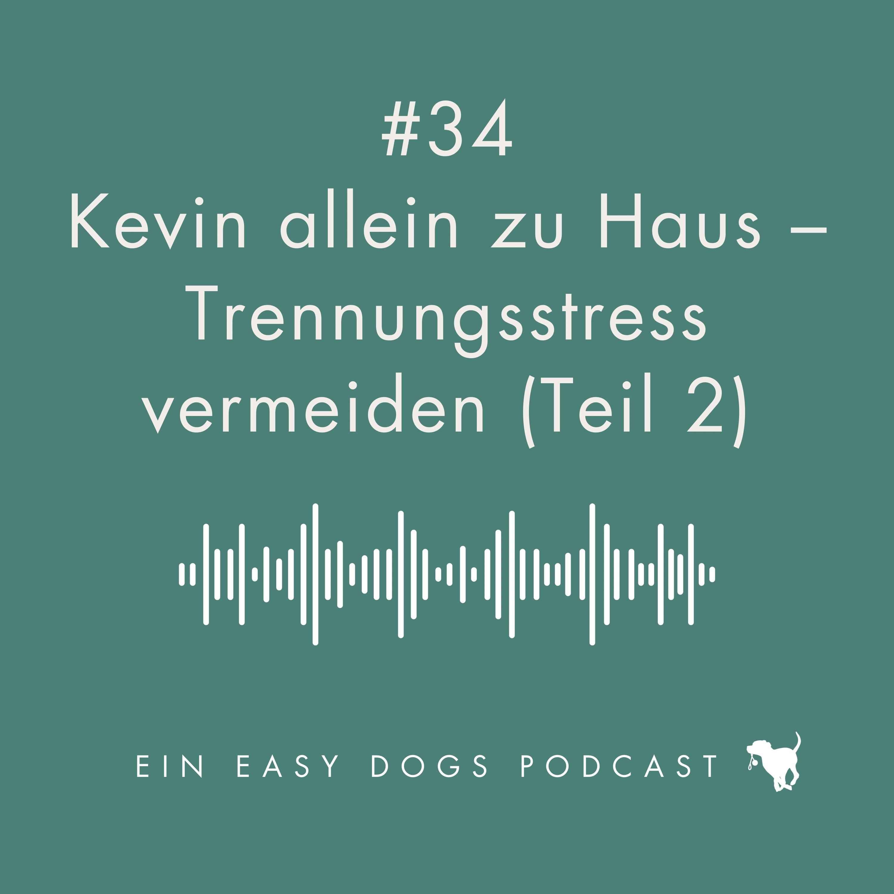 #34 Kevin allein zu Haus - Trennungsstress vermeiden (Teil 2) episode artwork