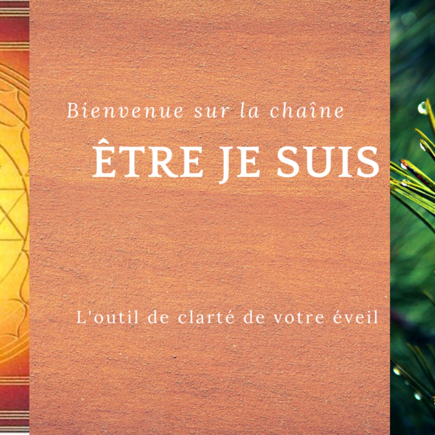 Être sensible vs Être sensitif
