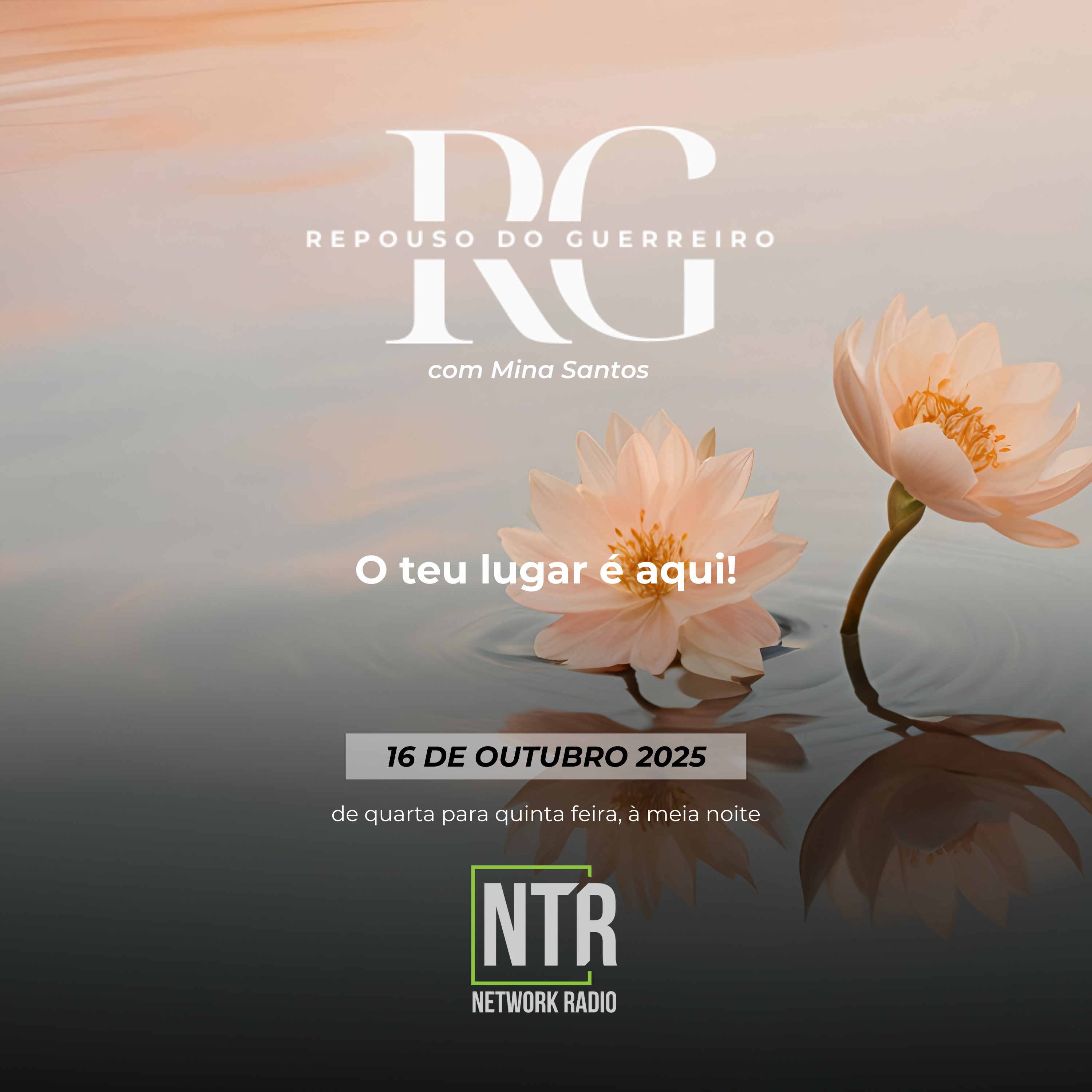 RG0029 Repouso do Guerreiro  T01 ED029 episode artwork