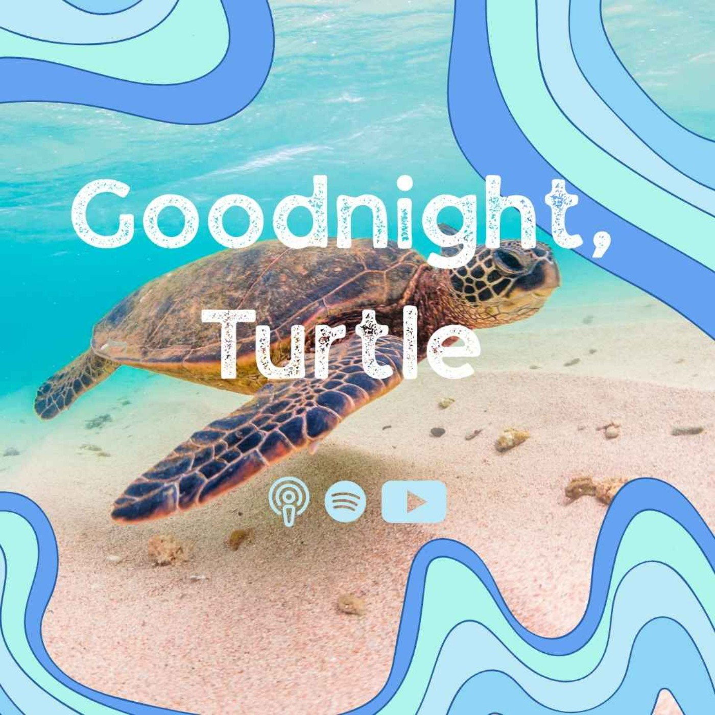 Goodnight, Turtle episode artwork