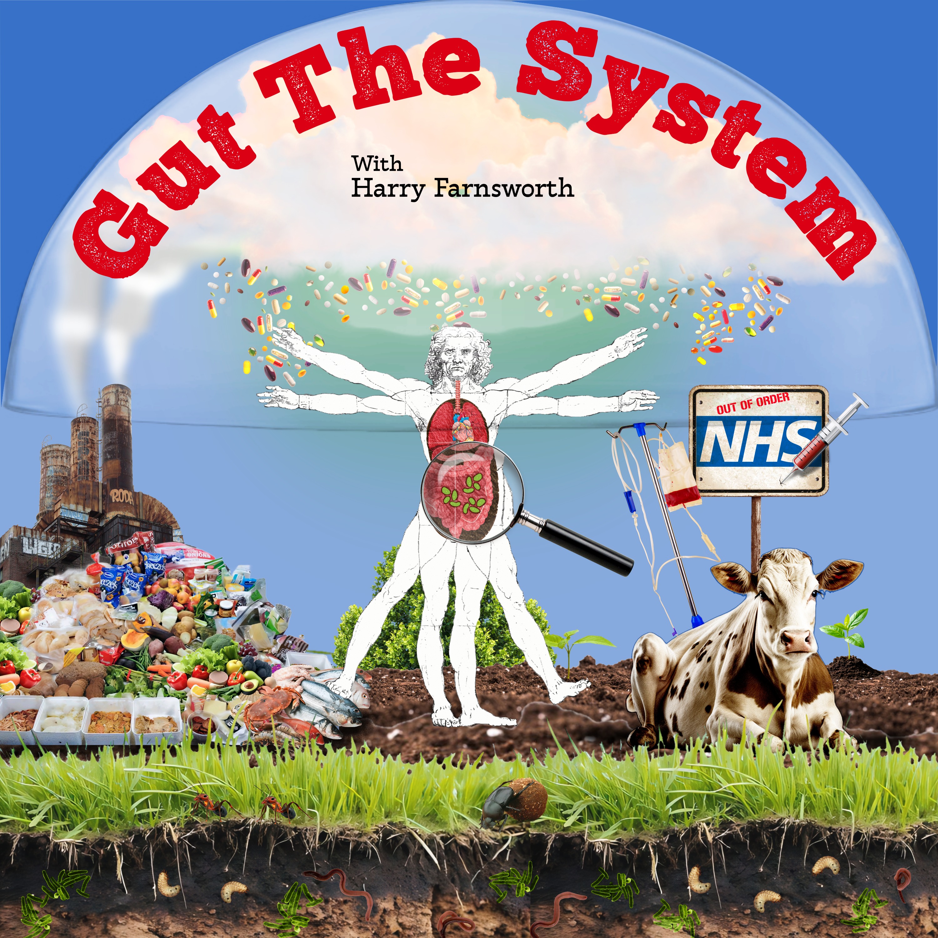 Gut the System with Harry Farnsworth