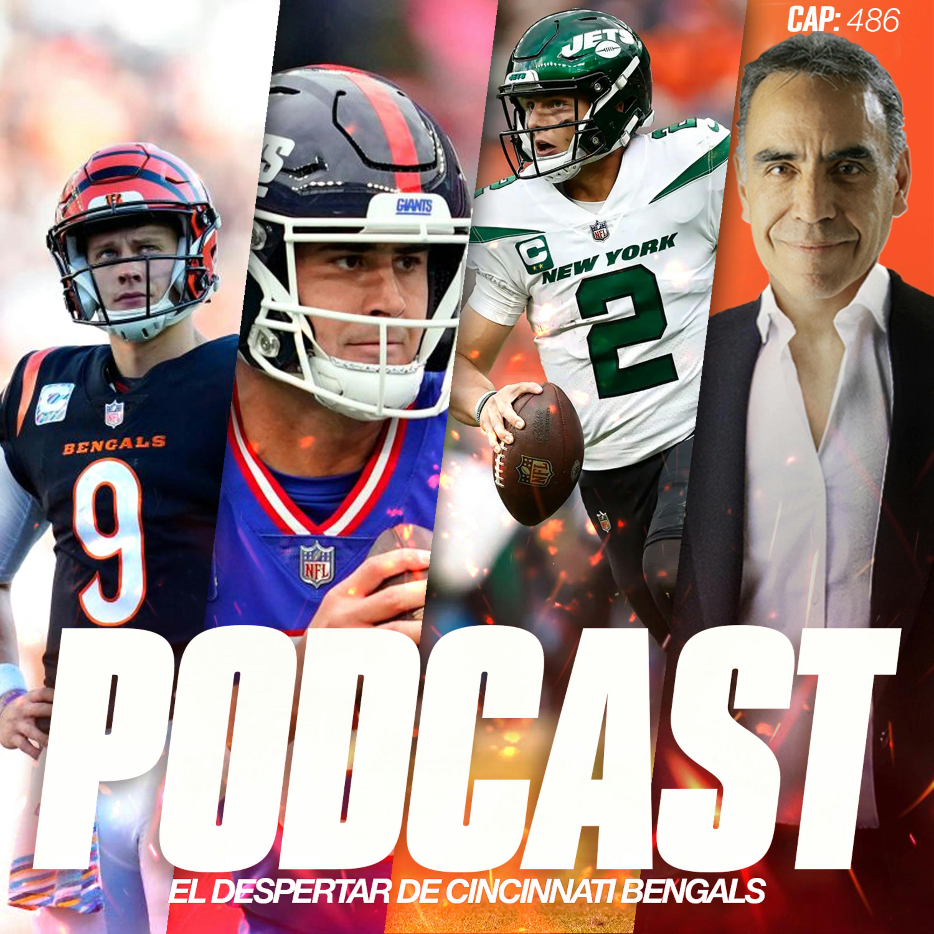 El Despertar de Cincinnati Bengals