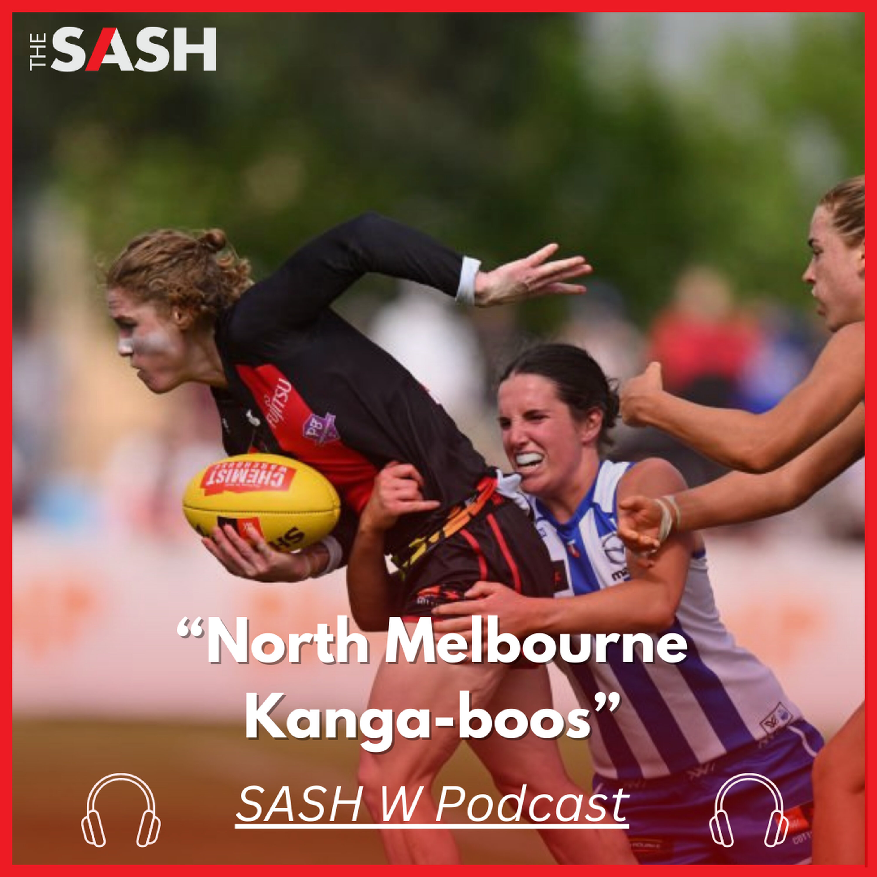 The Sash W - North Melbourne Kanga-boos episode artwork