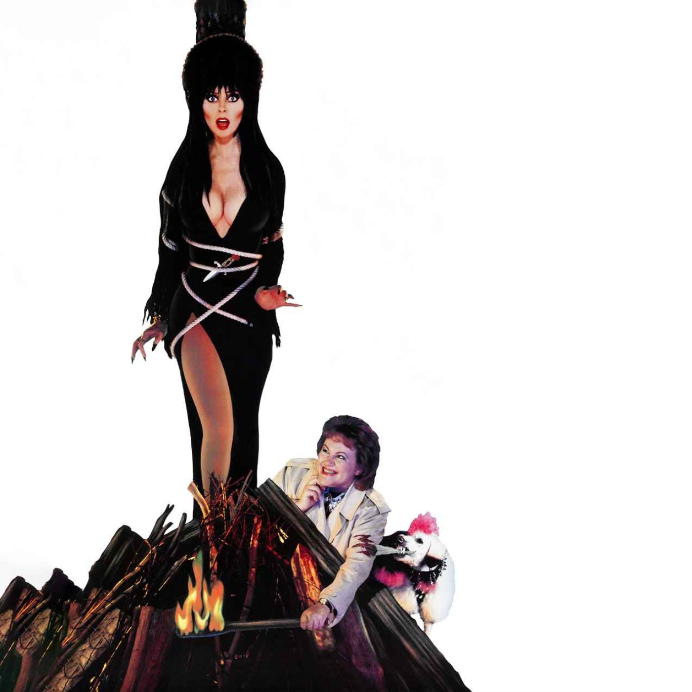 Elvira: Mistress of the Dark episode artwork