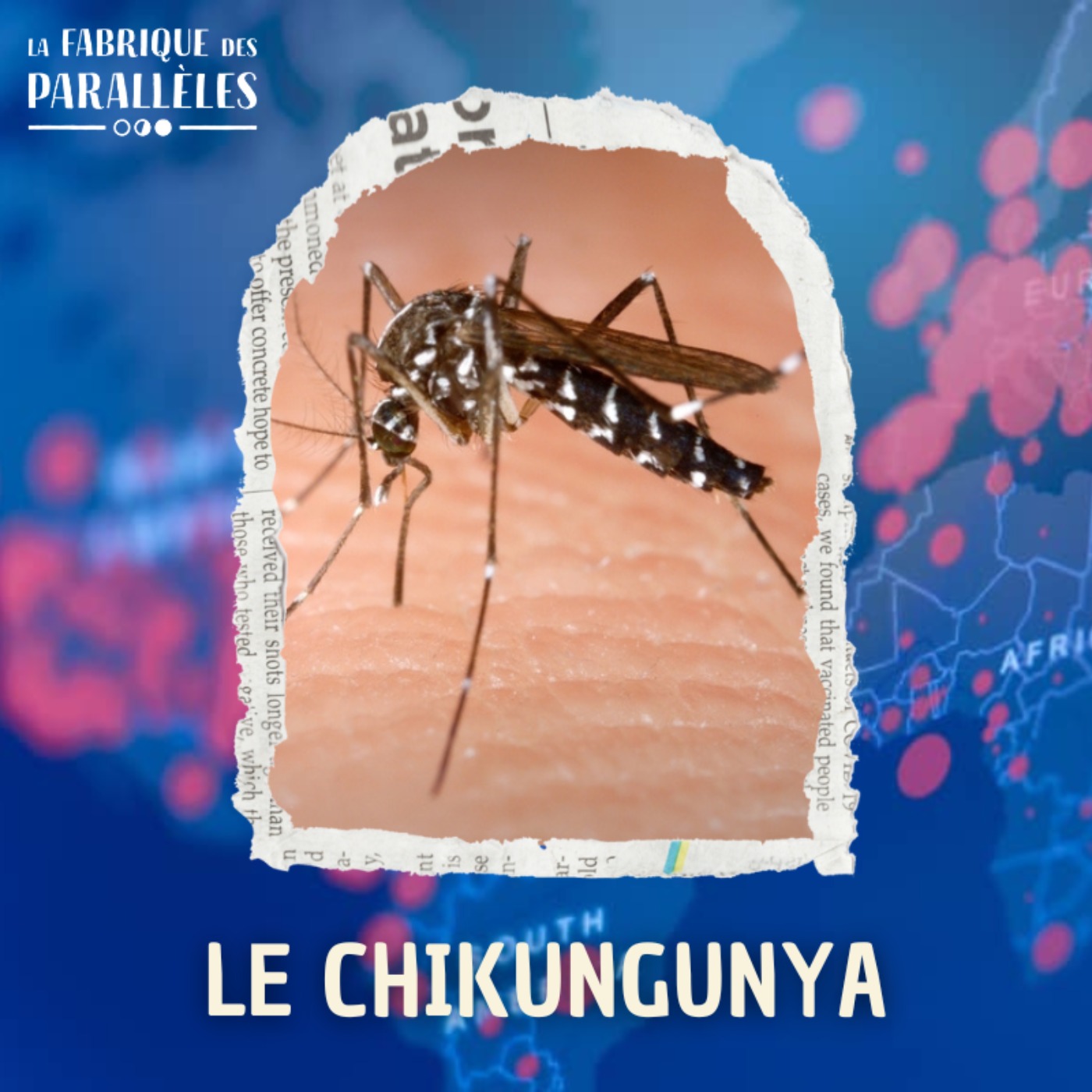 Le Chikungunya