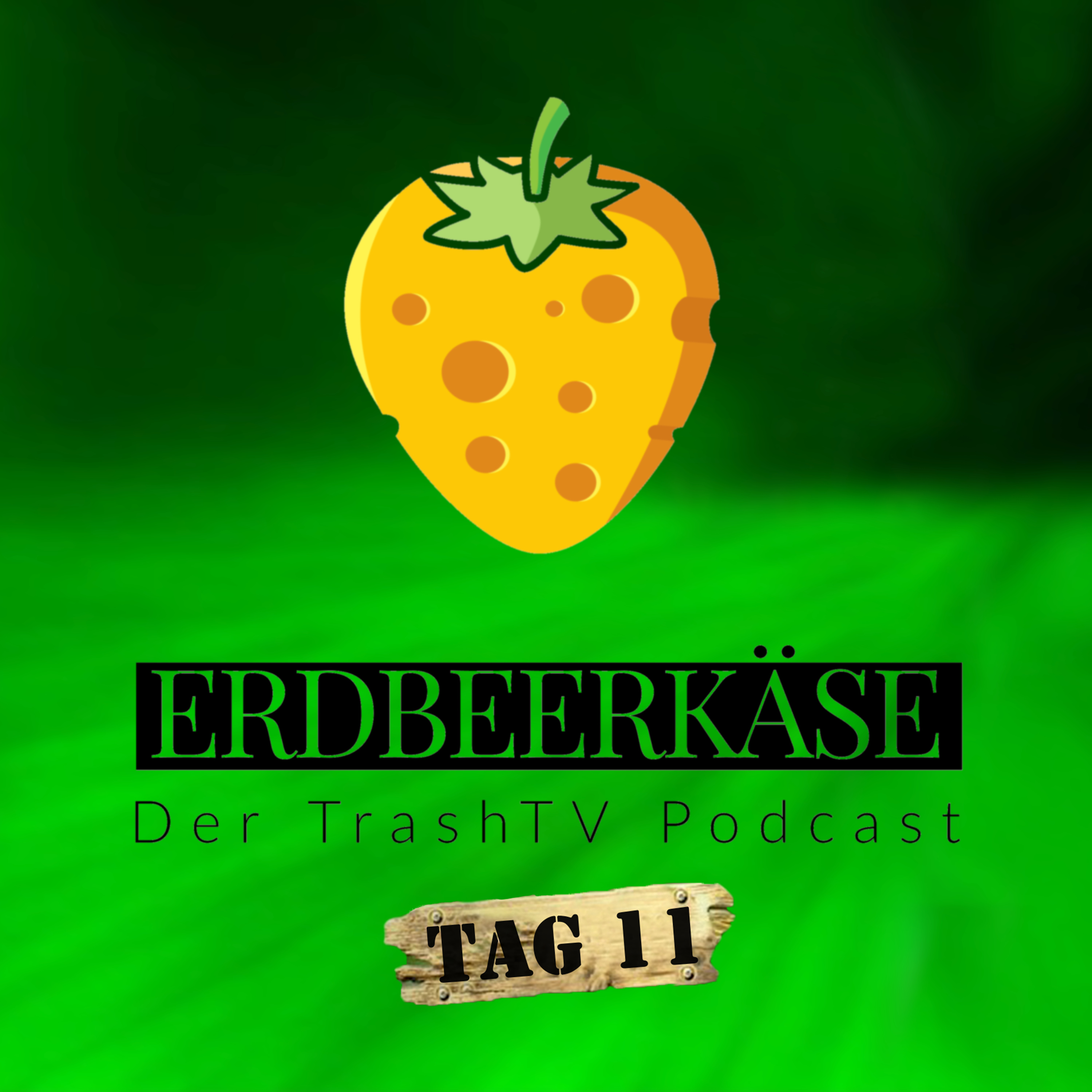 Erdbeerkäse - Der TrashTV Podcast