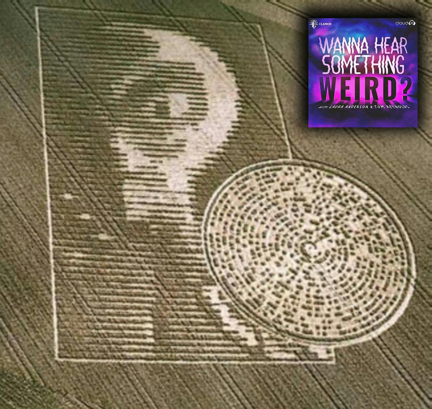 Wanna Hear Something Weird?