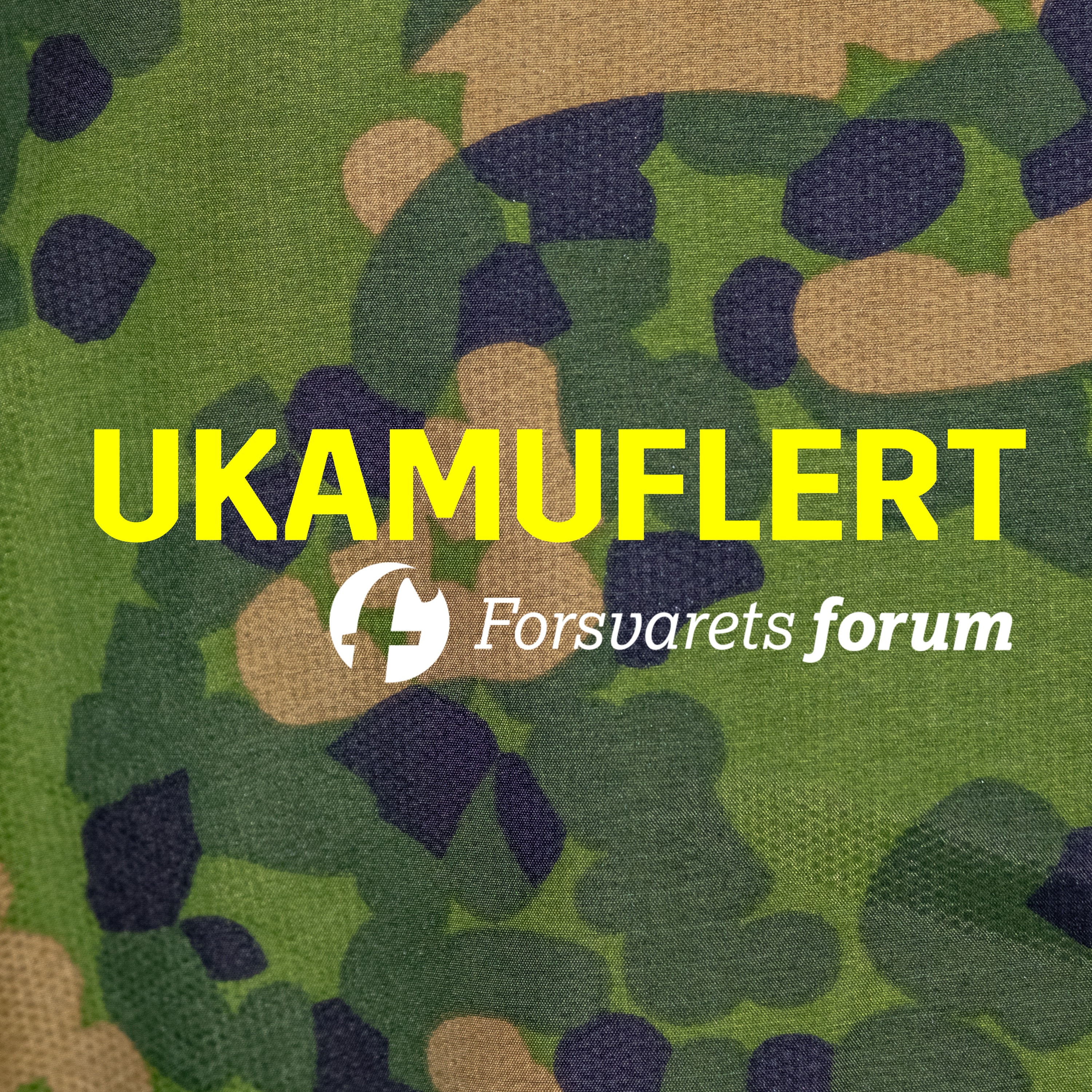 #14 Kjemper for øl i leir for alle episode artwork