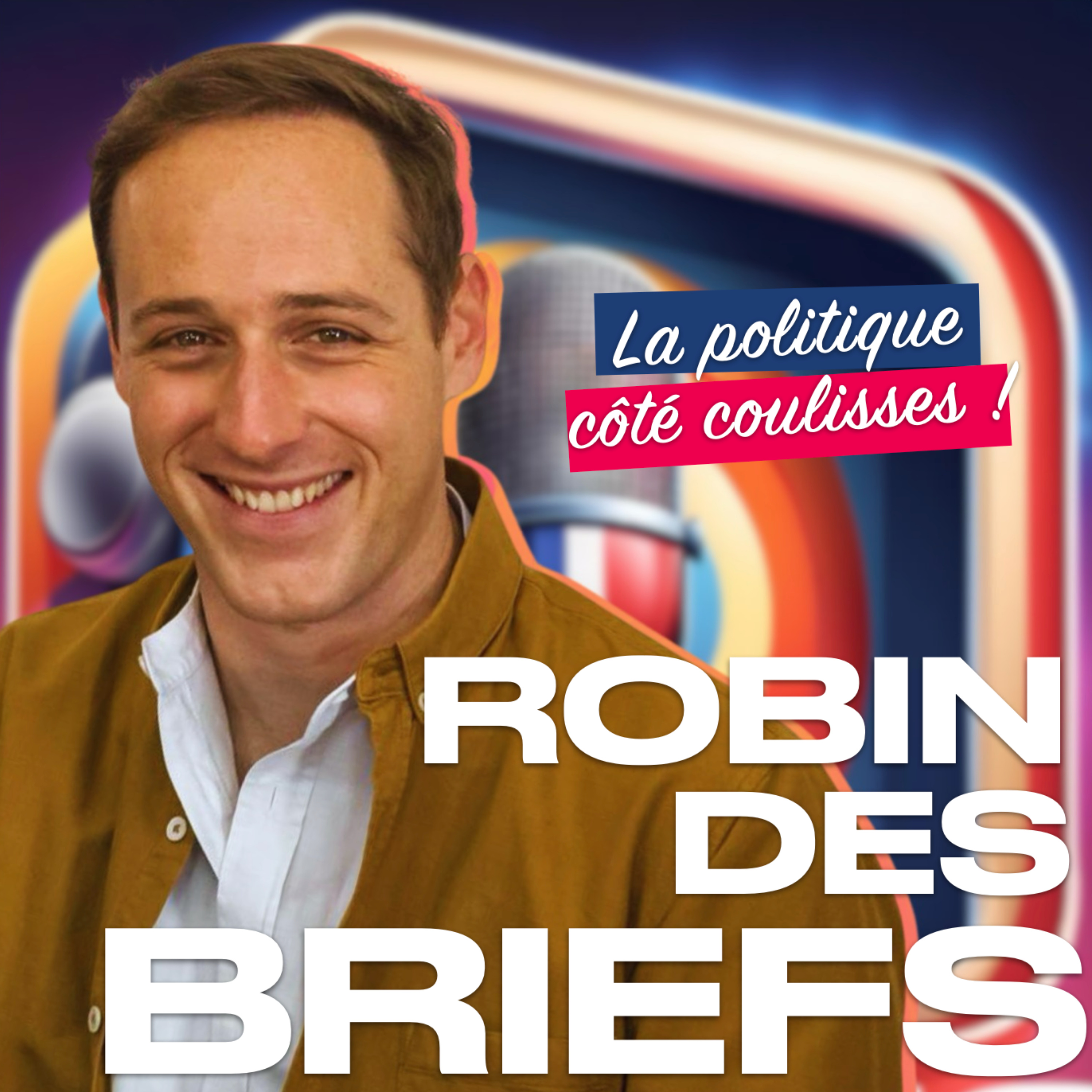Robin des Briefs