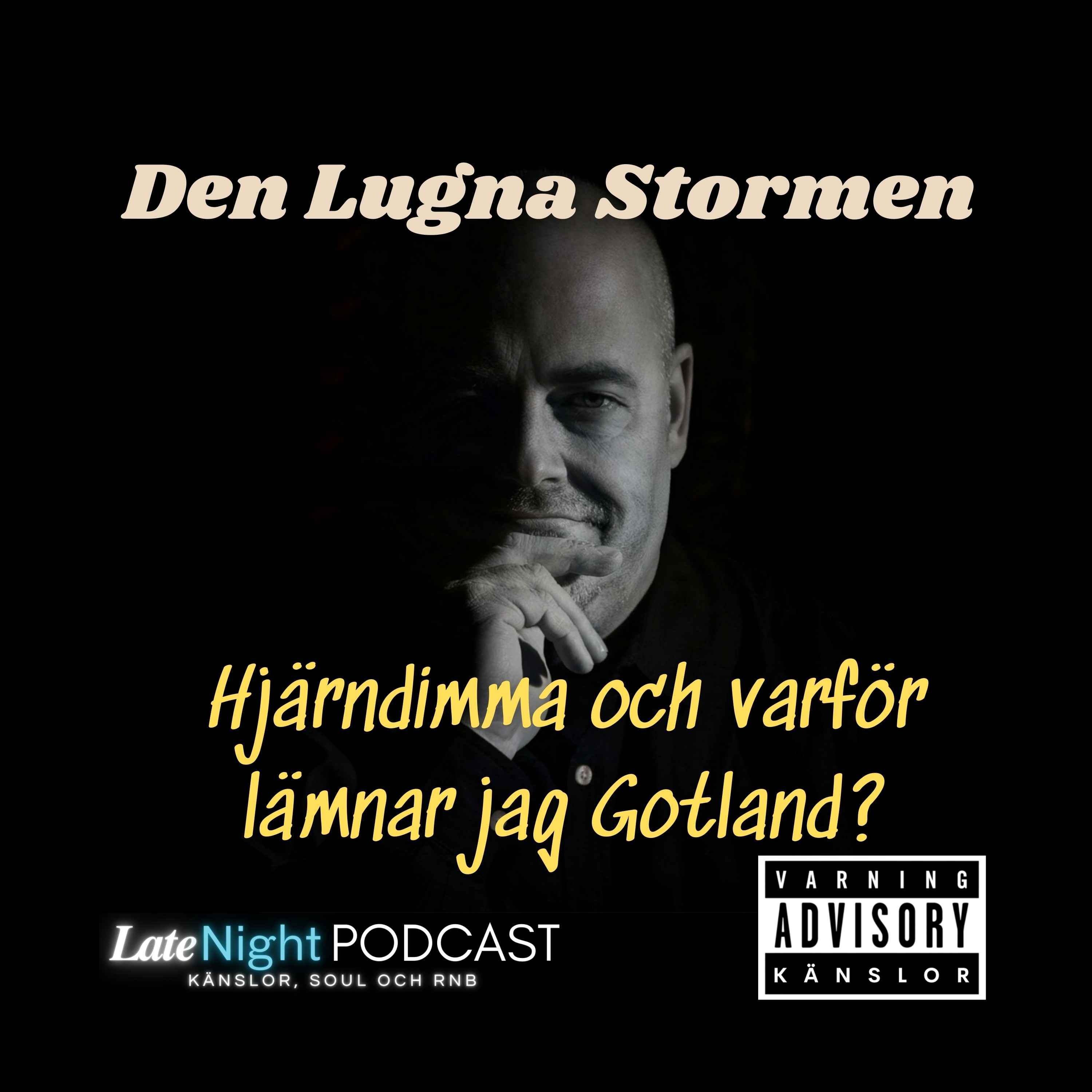 Den Lugna Stormen