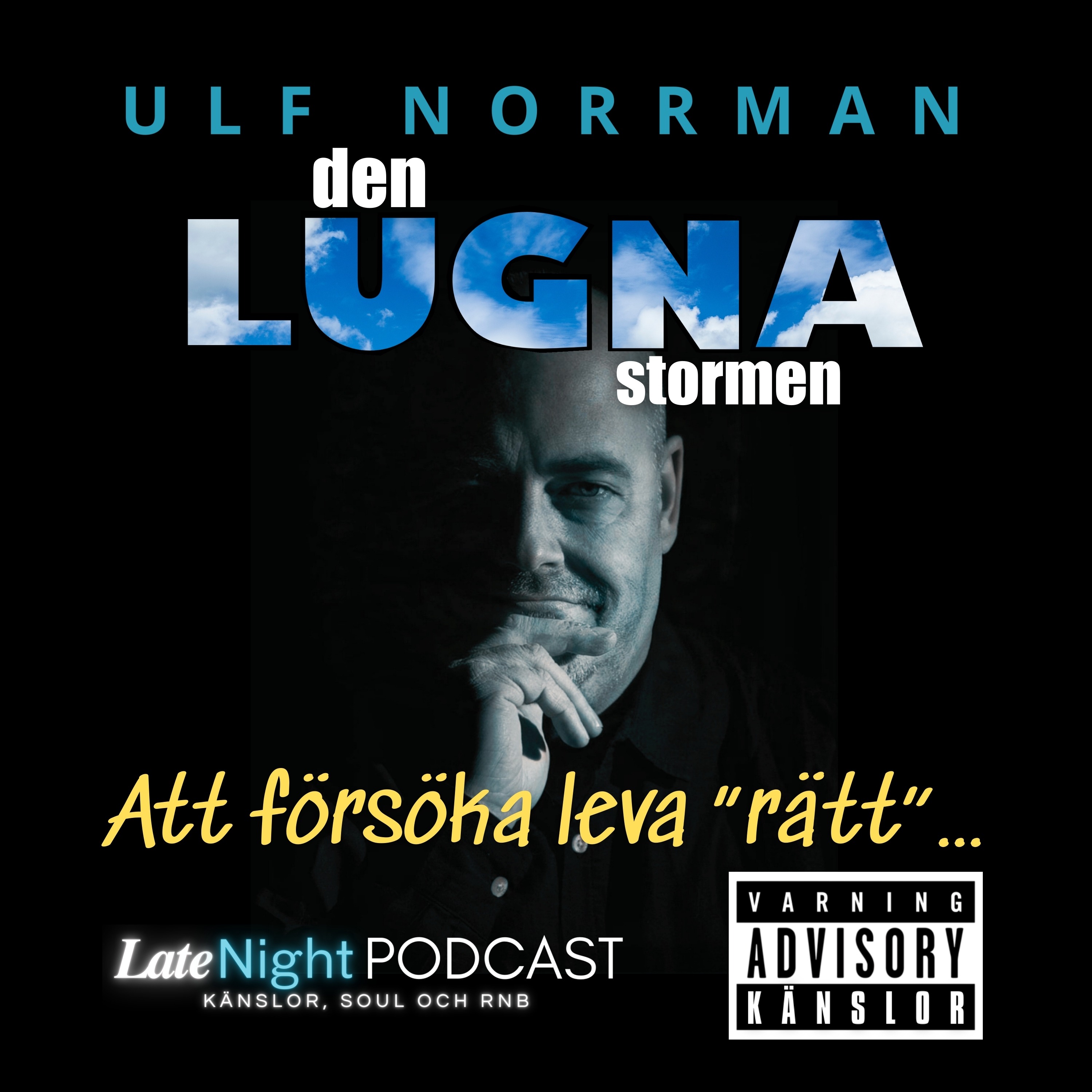 Den Lugna Stormen