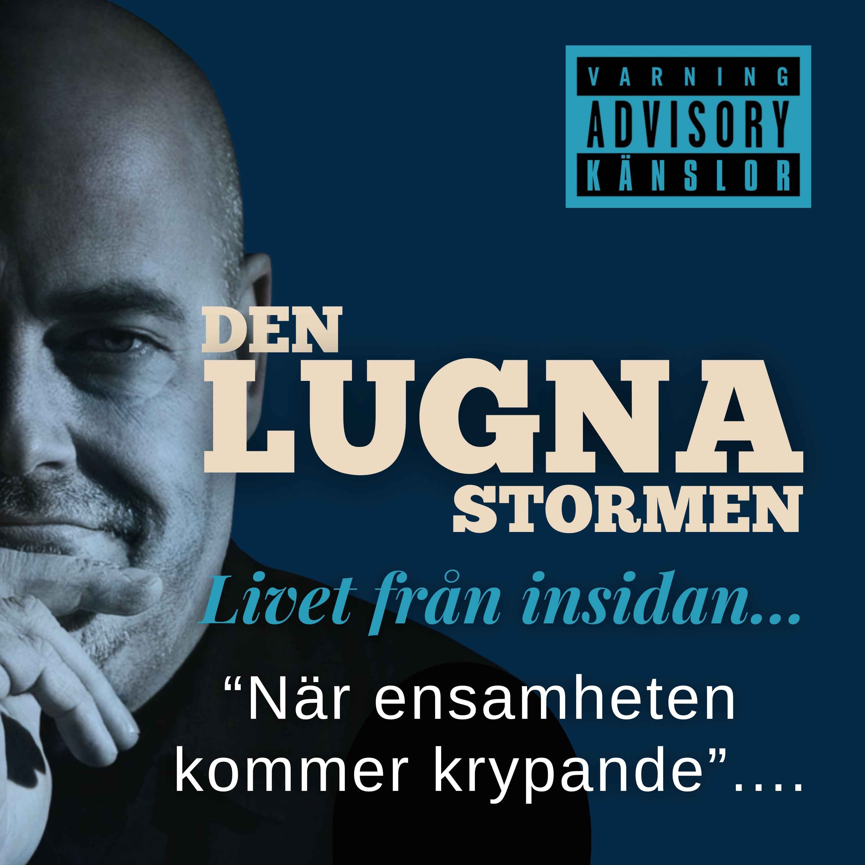 Den Lugna Stormen