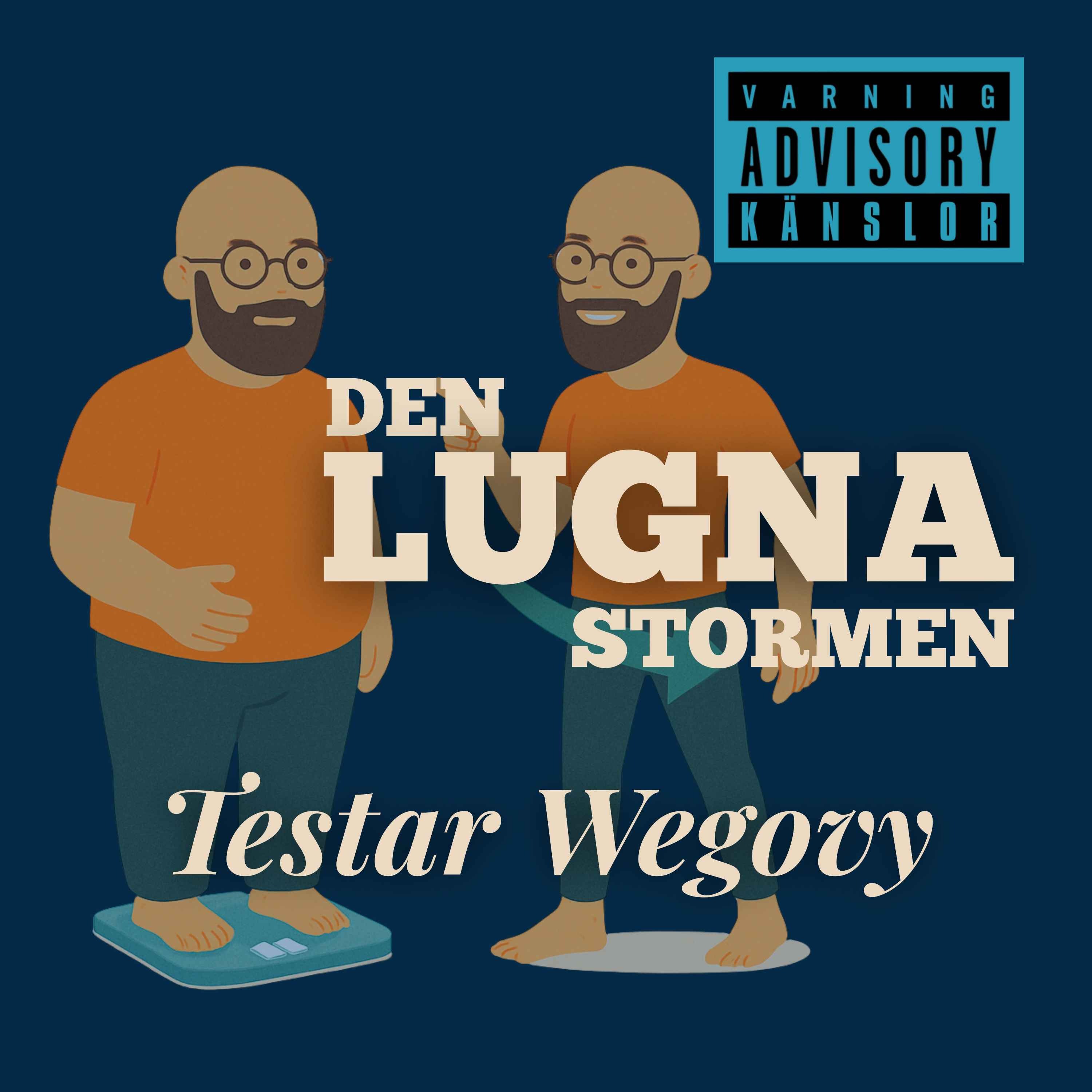 Den Lugna Stormen