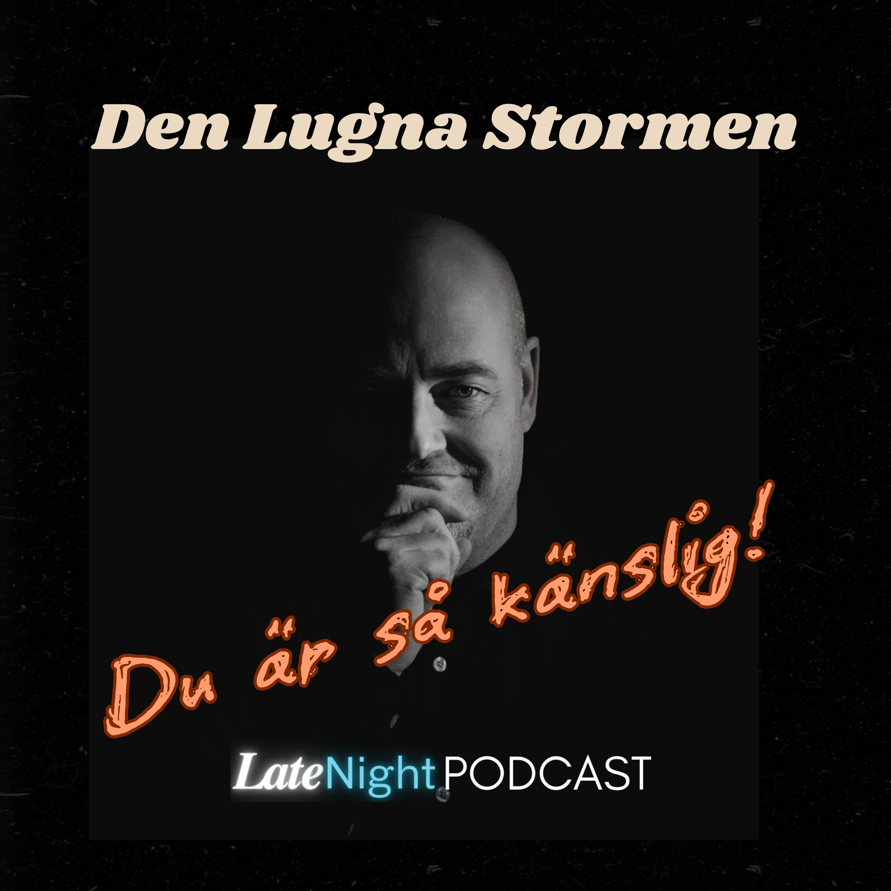 Den Lugna Stormen