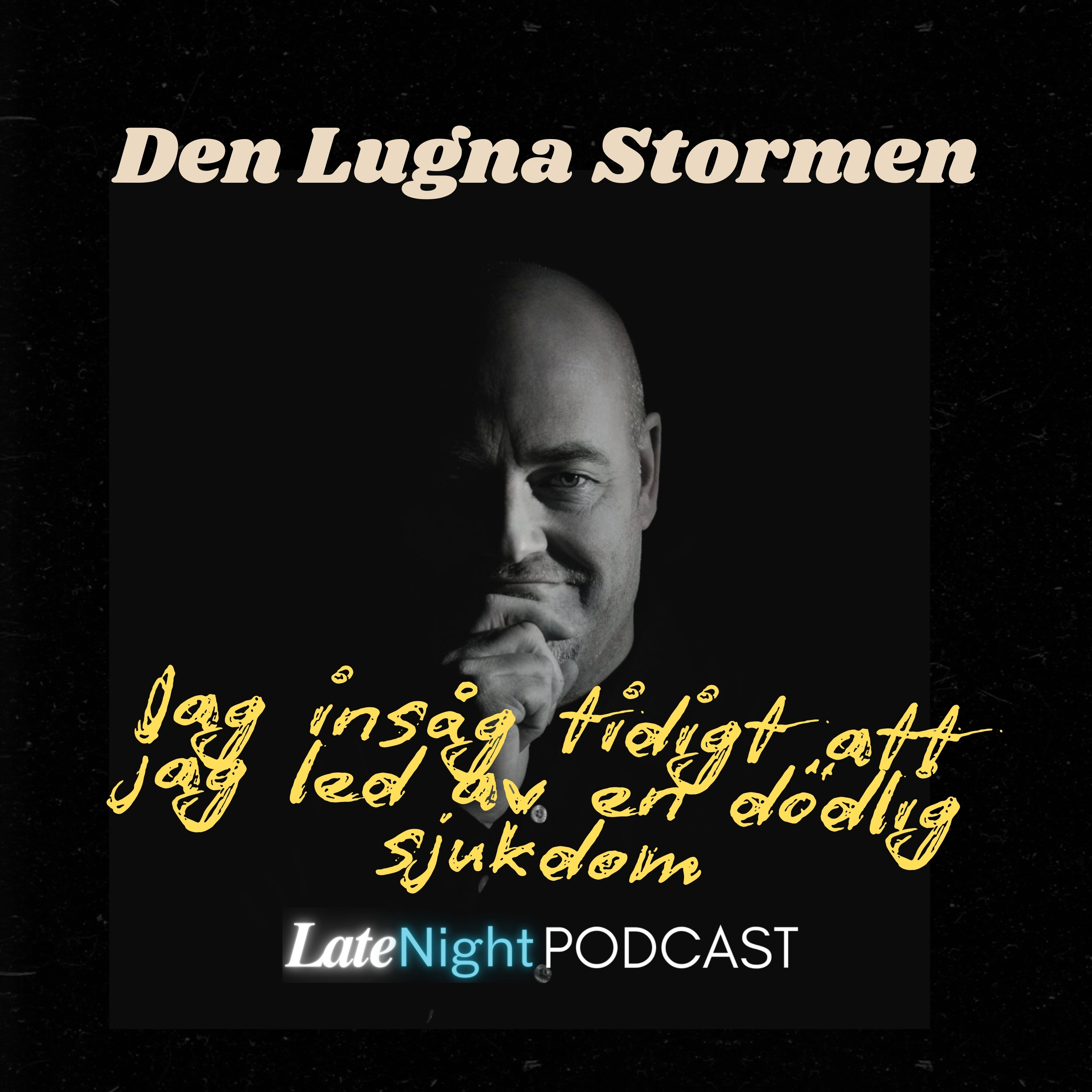 Den Lugna Stormen