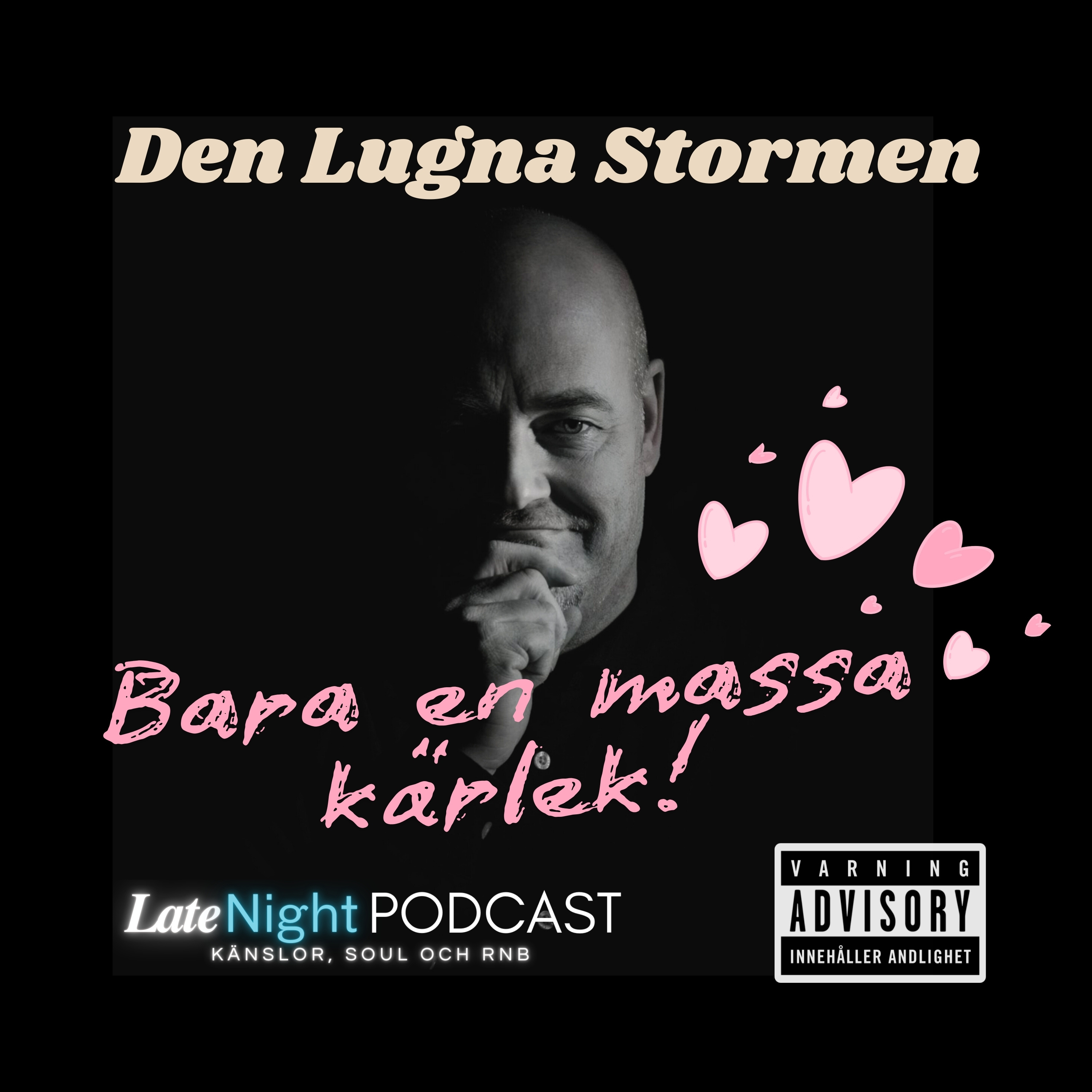 Den Lugna Stormen