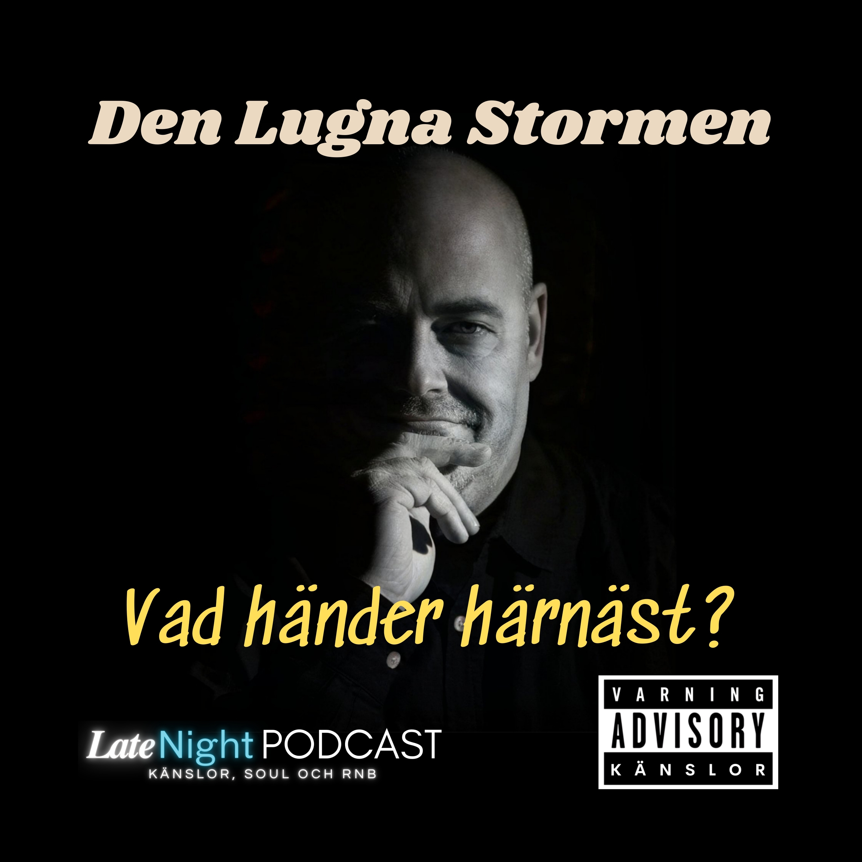 Den Lugna Stormen