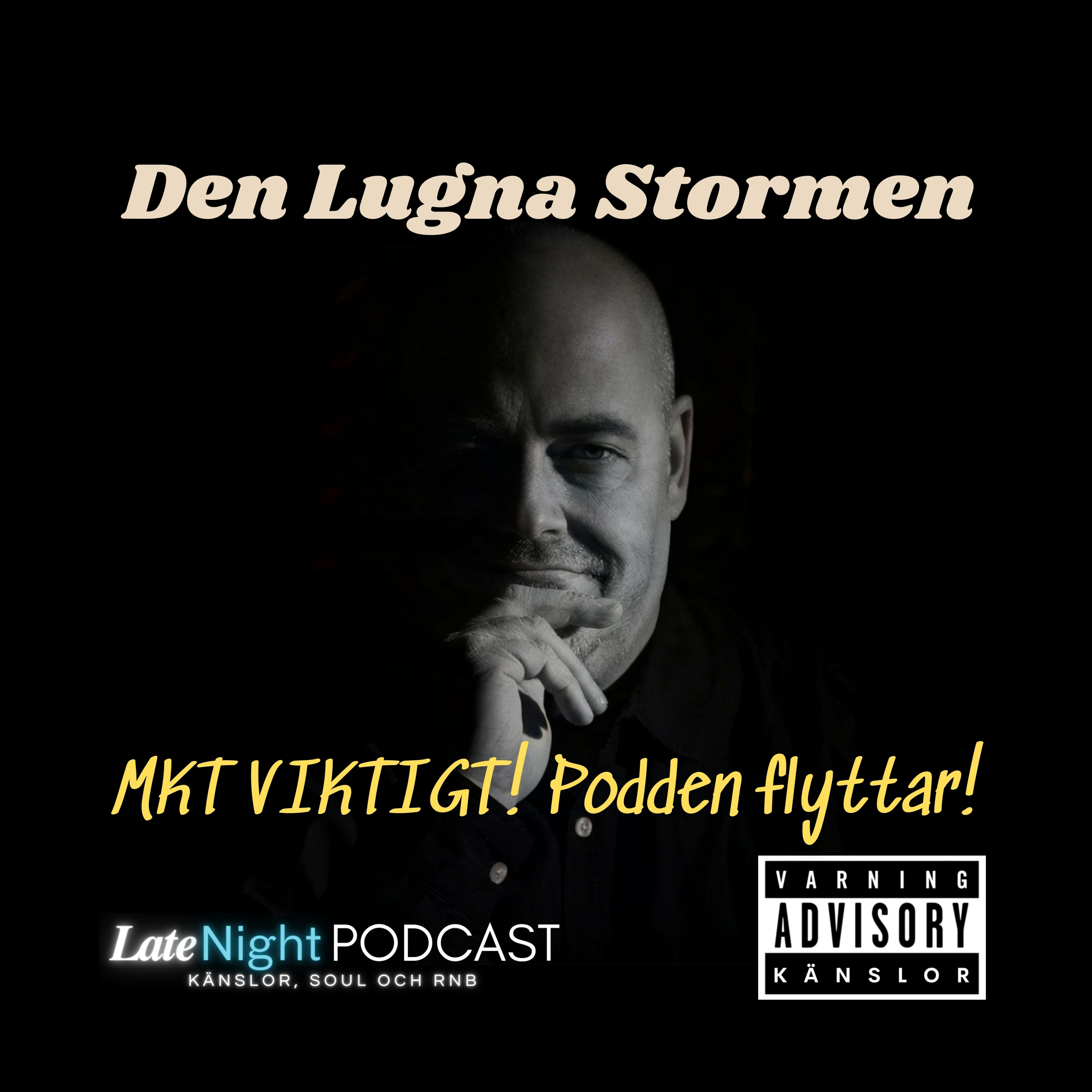 Den Lugna Stormen