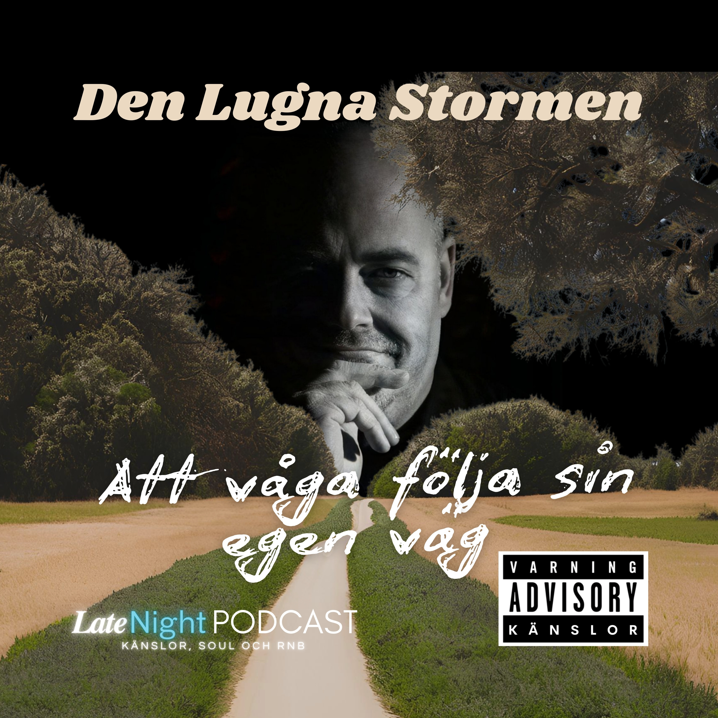 Den Lugna Stormen