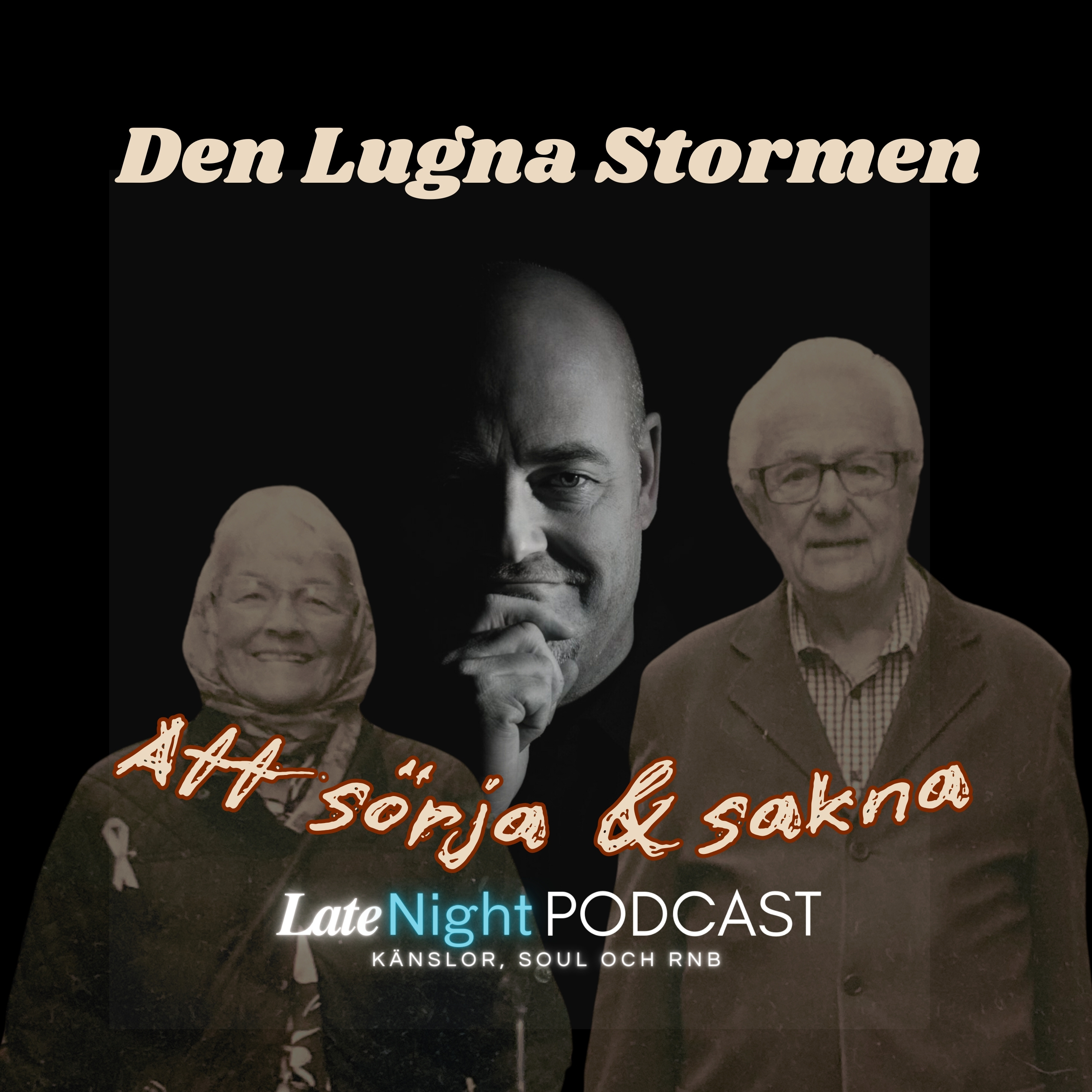 Den Lugna Stormen