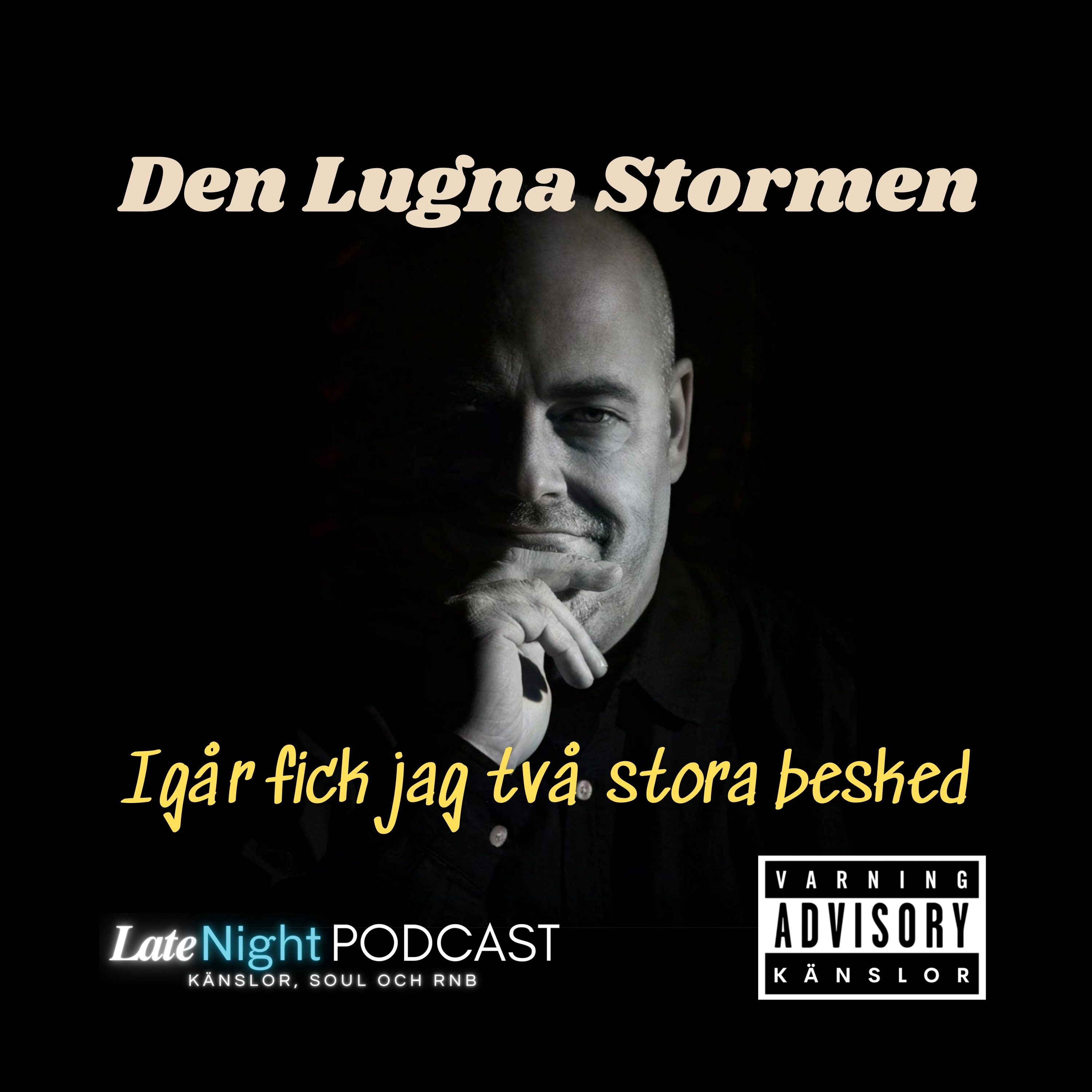 Den Lugna Stormen