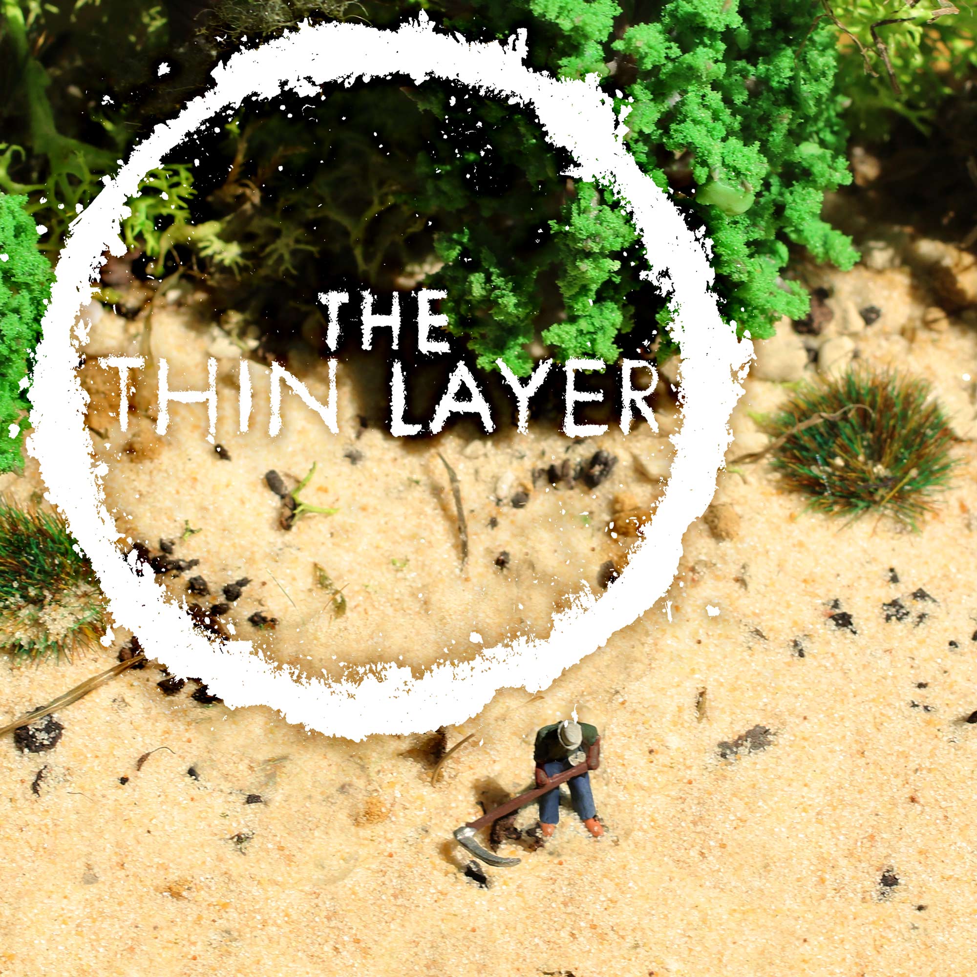 Episode 4: Regrowth