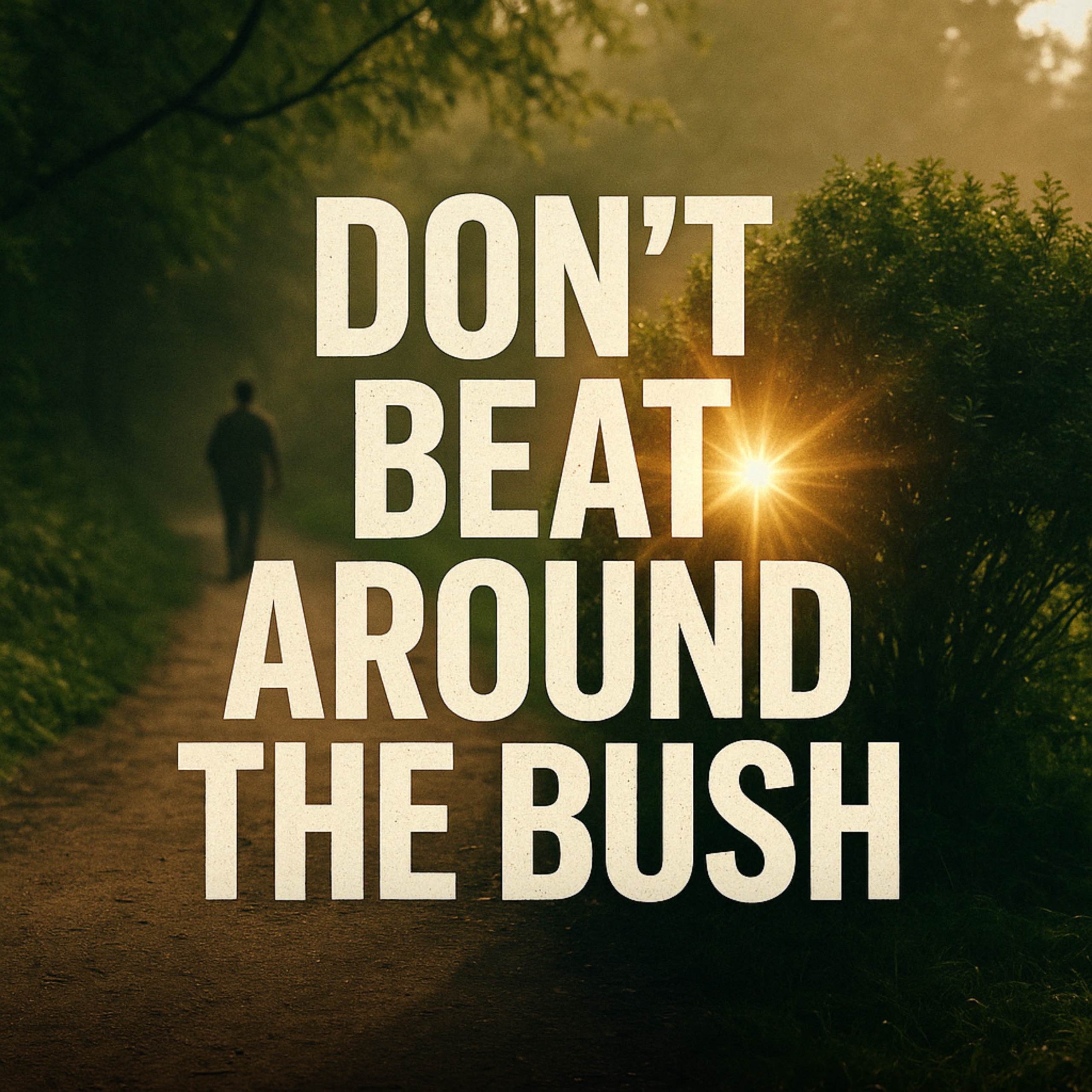 Don't Beat Around the Bush | Mufti Menk